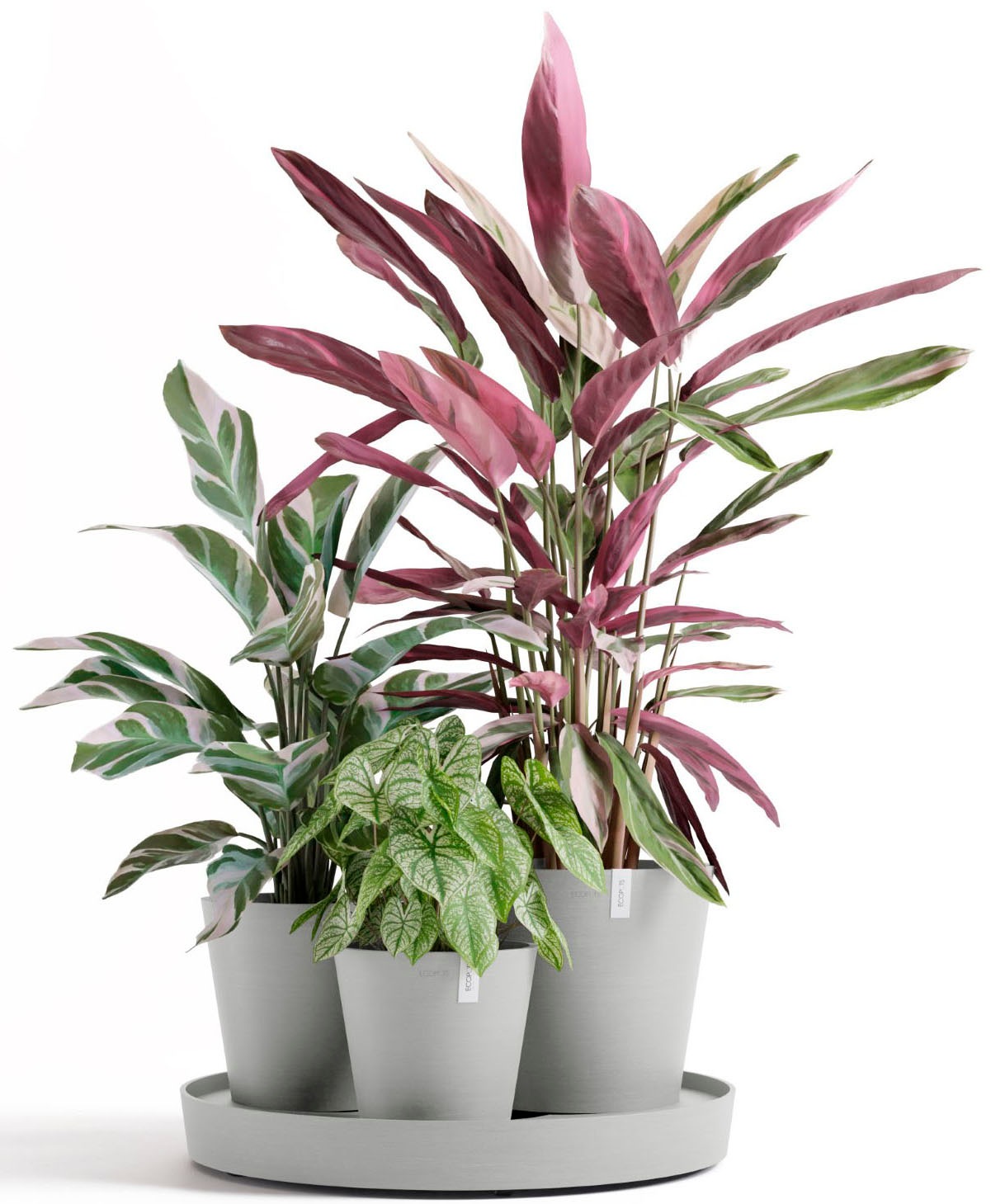 ECOPOTS Blumentopf »Dubai Weißgrau« für innen und außen: frostsicher, bruchsicher und lichtbeständig