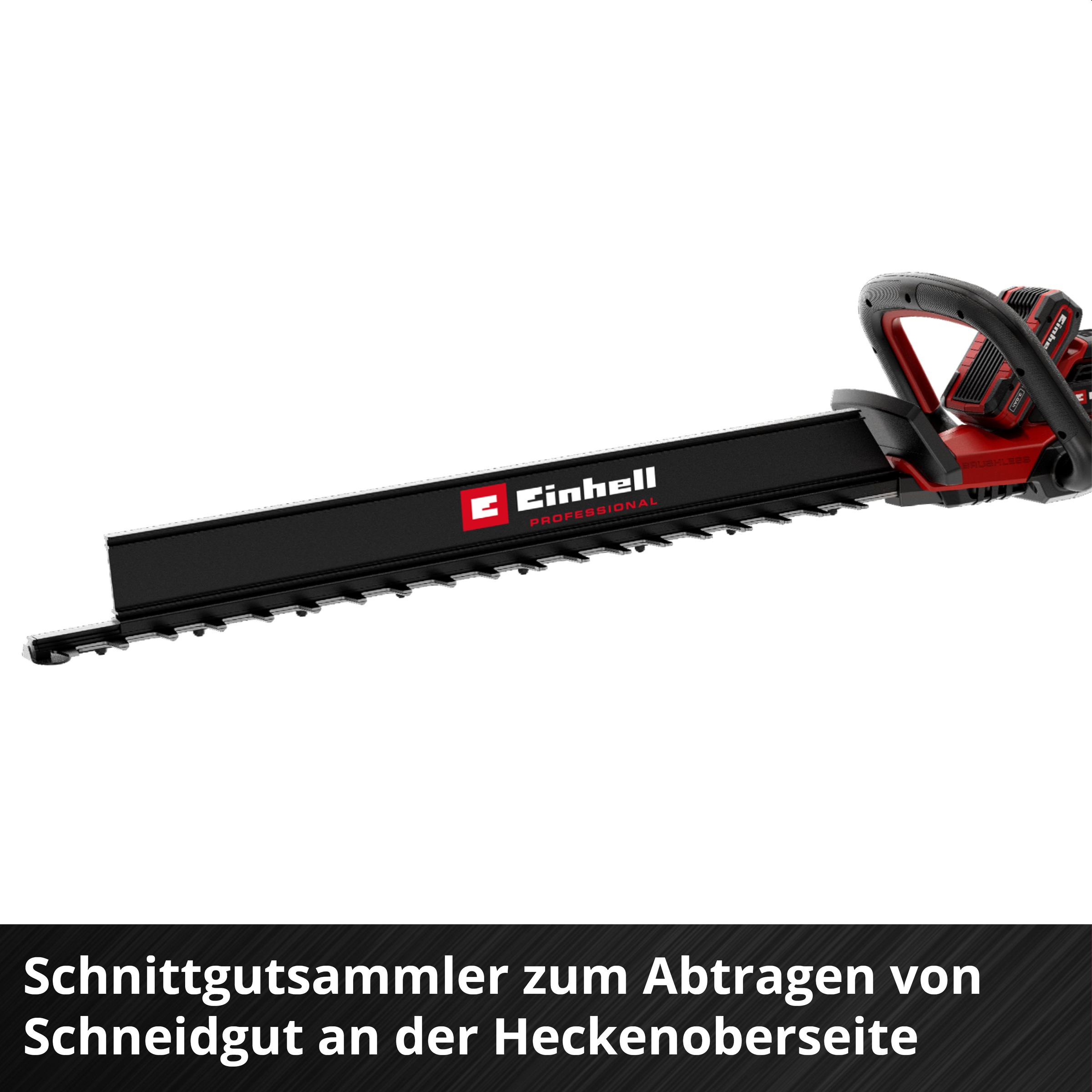 Einhell Akku-Heckenschere »GP-CH 36/65 Li BL-Solo« ()  ohne Akku und Ladegerät