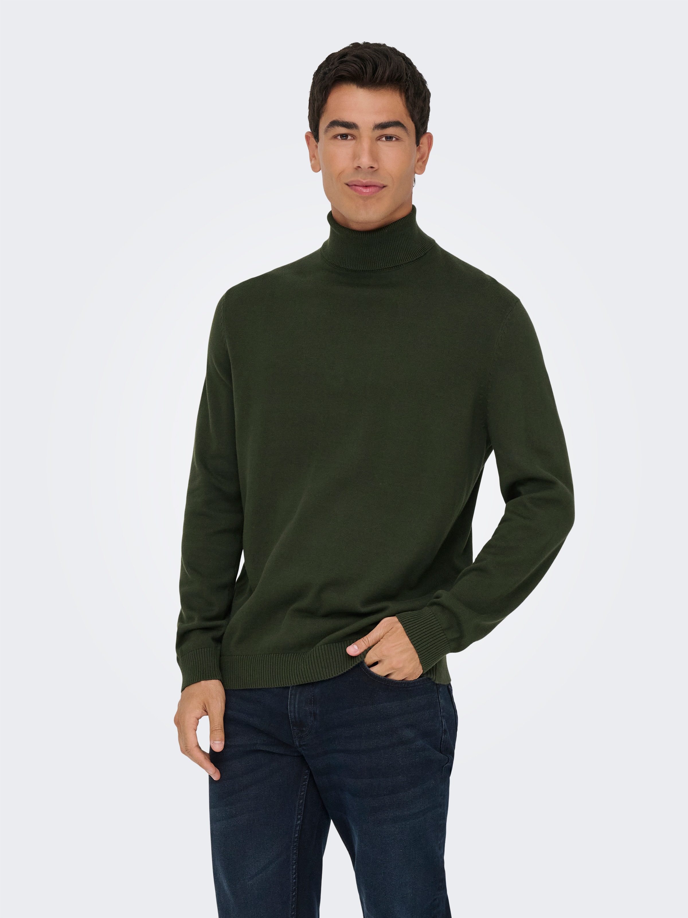 ONLY & SONS Rollkragenpullover "ONSHOLGER REG ROLL NECK KNIT - OTL" günstig online kaufen