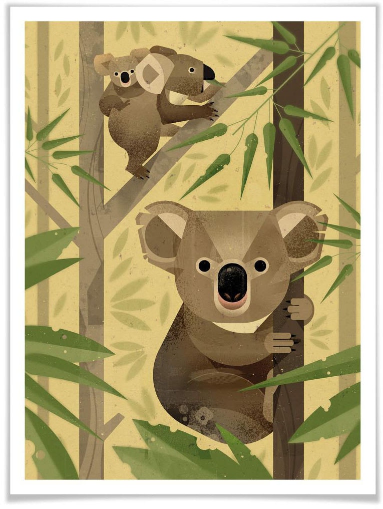 Poster »Koala«, Tiere, (1 St.), Poster ohne Bilderrahmen