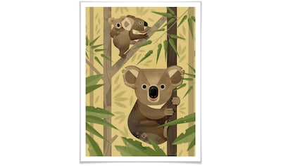 Poster »Koala«, Tiere, (1 St.)