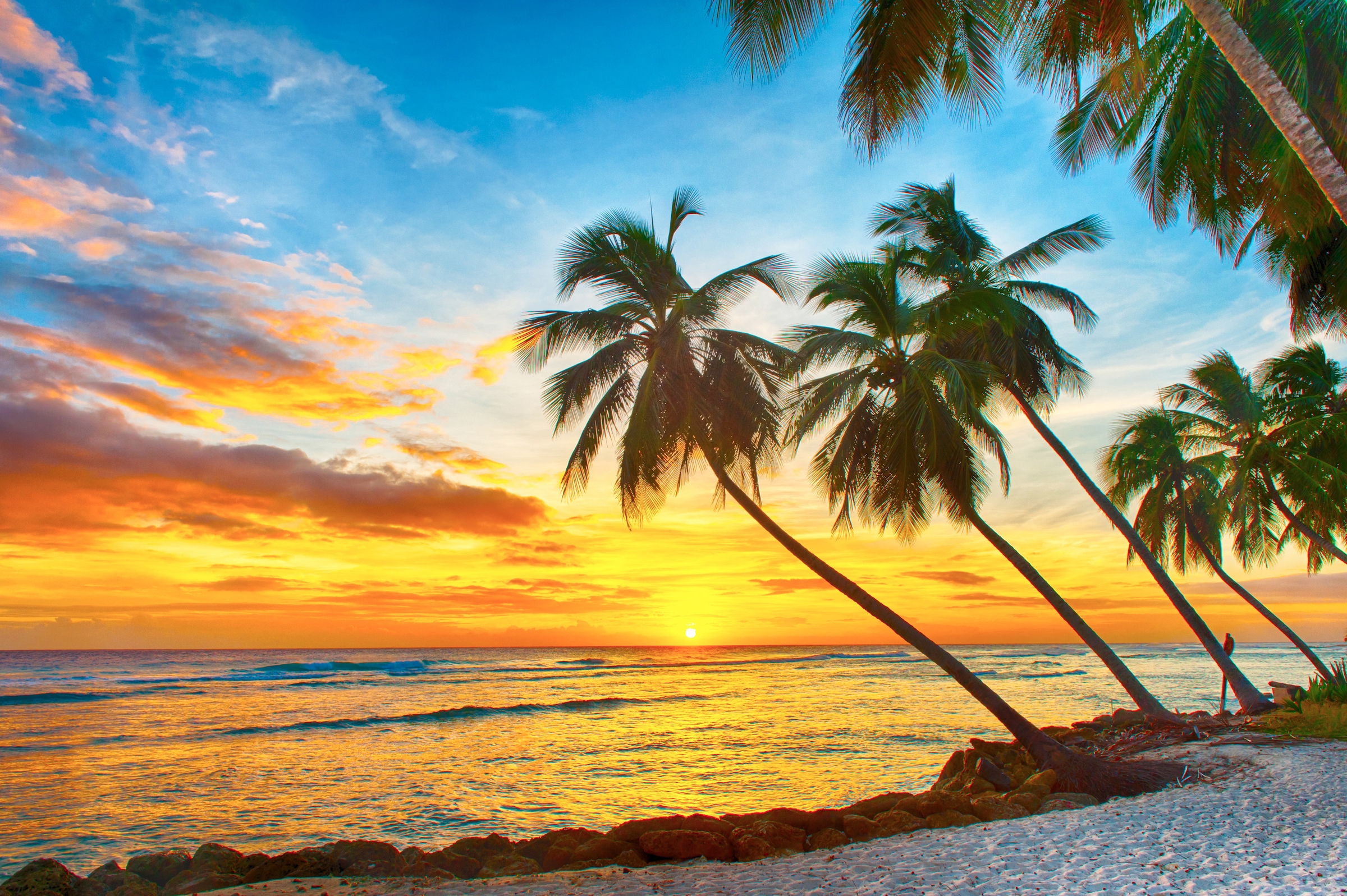 Papermoon Fototapete "Barbados Palm Beach" glatt