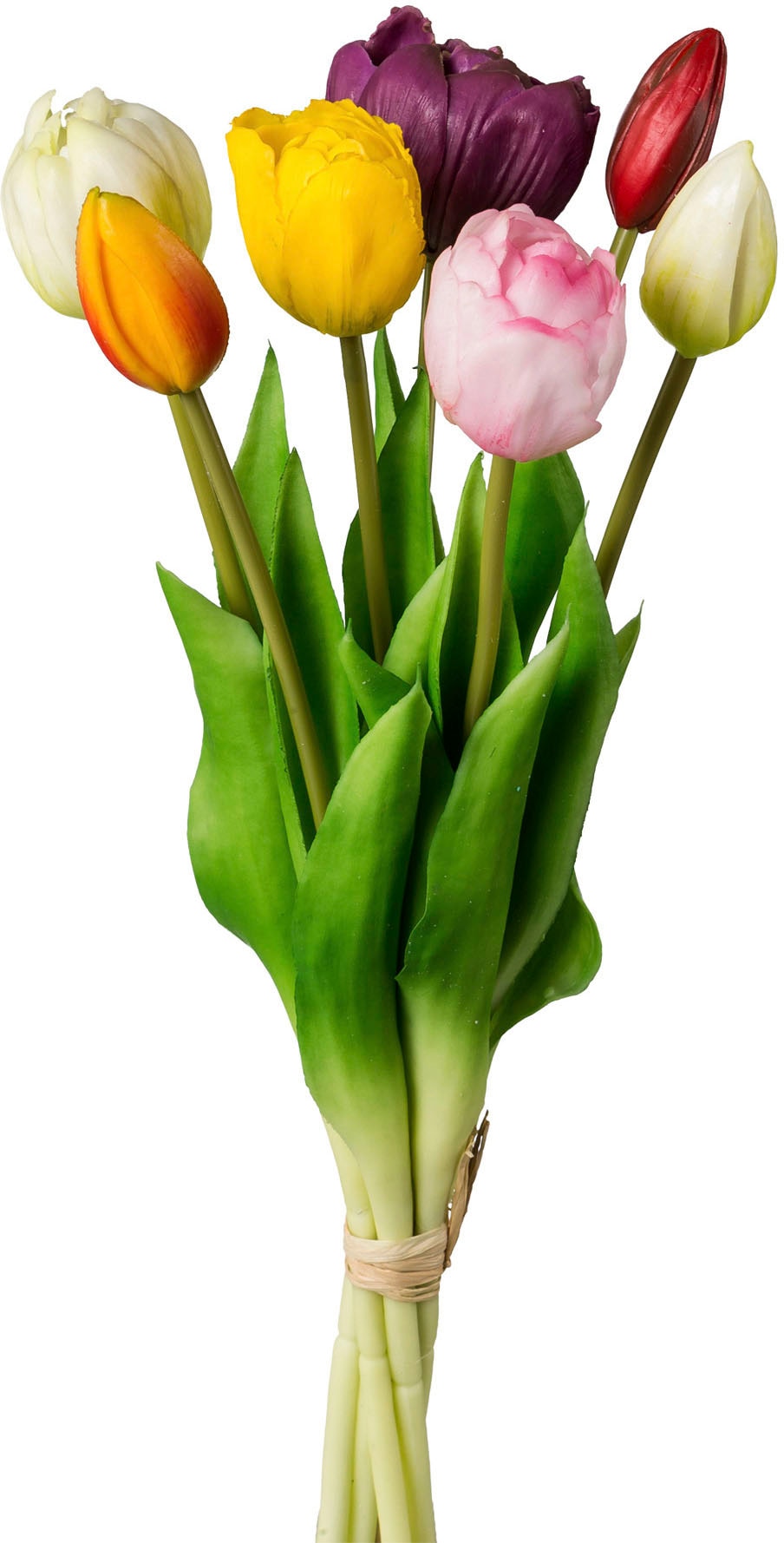 my home Kunsttulpe "Gefüllte Tulpen" günstig online kaufen