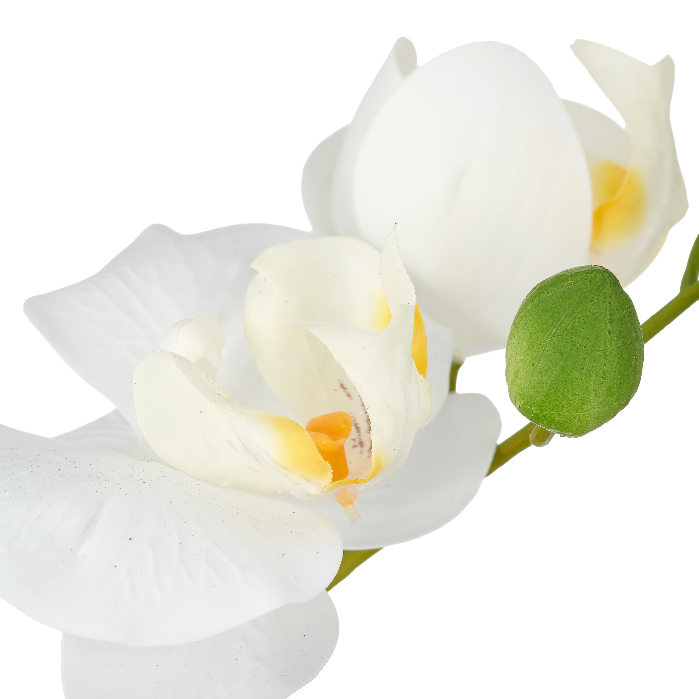 Creativ green Kunstorchidee »Phalaenopsis« mit Real-Touch-Blüten