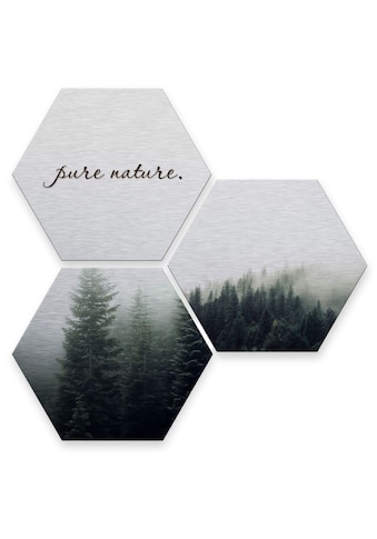 Mehrteilige Bilder »Silber Effekt Pure Nature Wald«, Pflanzen, (Set, 3 St.)