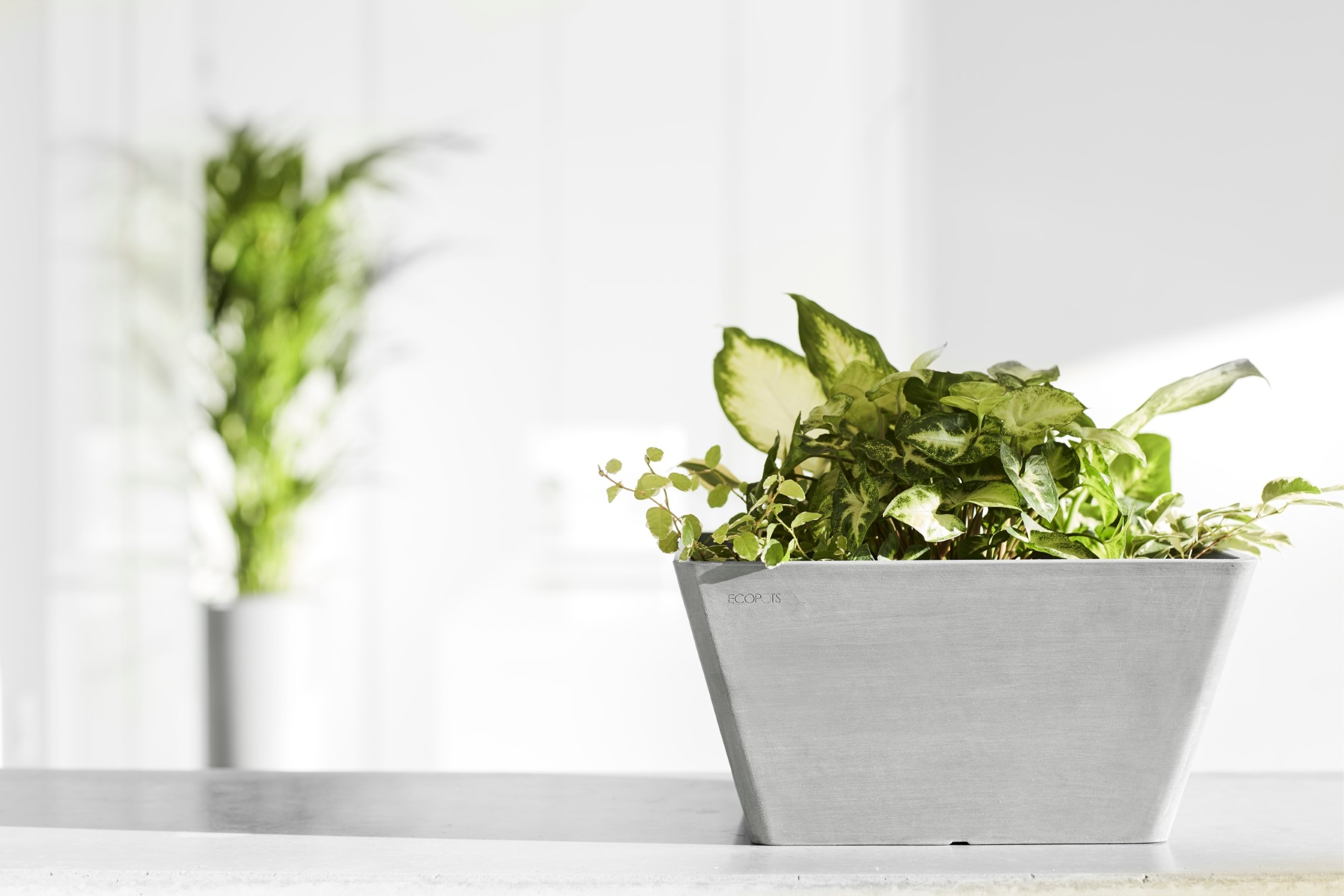 ECOPOTS Blumentopf »BERLIN White Grey«, BxTxH: 31x31x15,5 cm