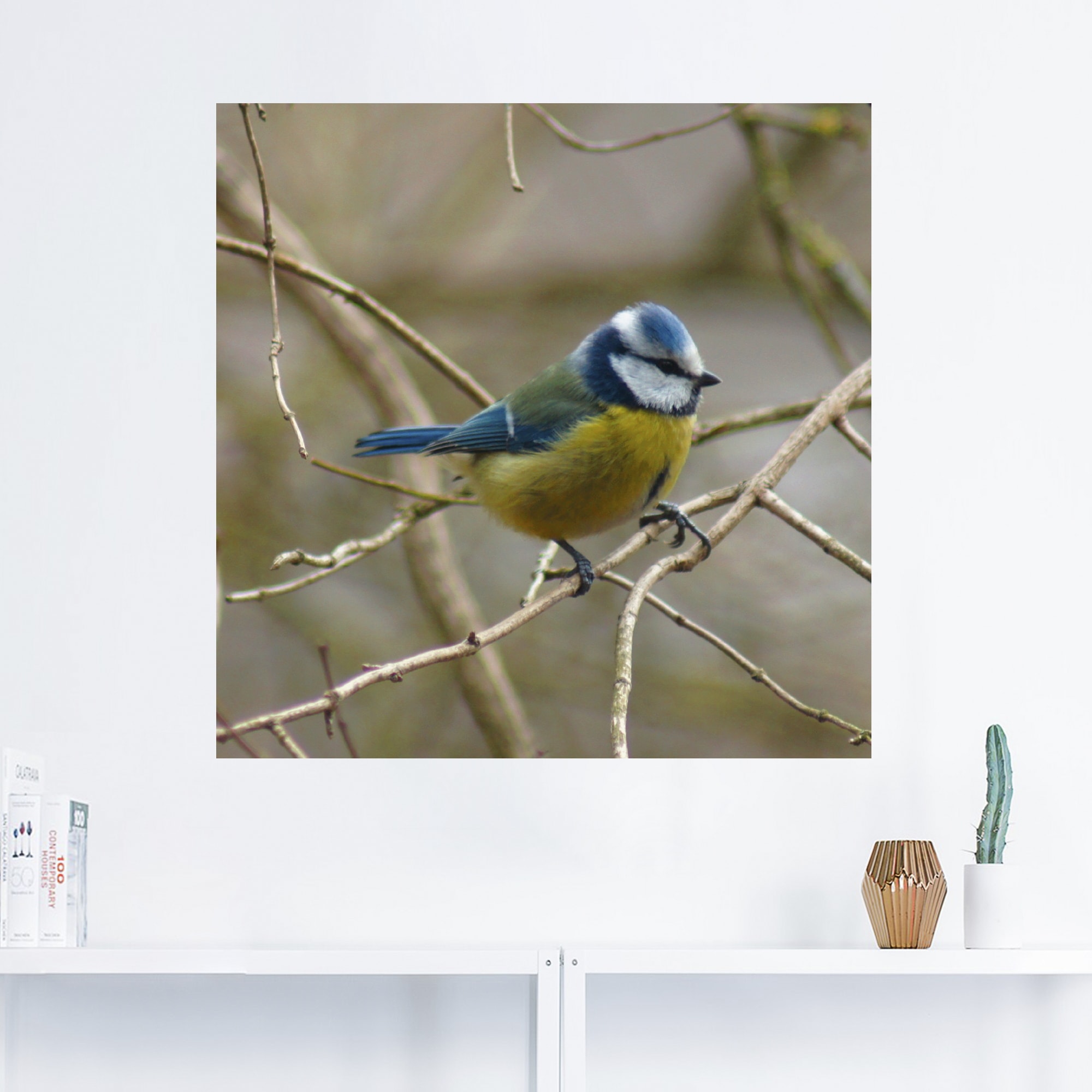 Artland Wandbild »Blaumeise«, Vögel, (1 St.), als Leinwandbild, Wandaufkleber in verschied. Größen