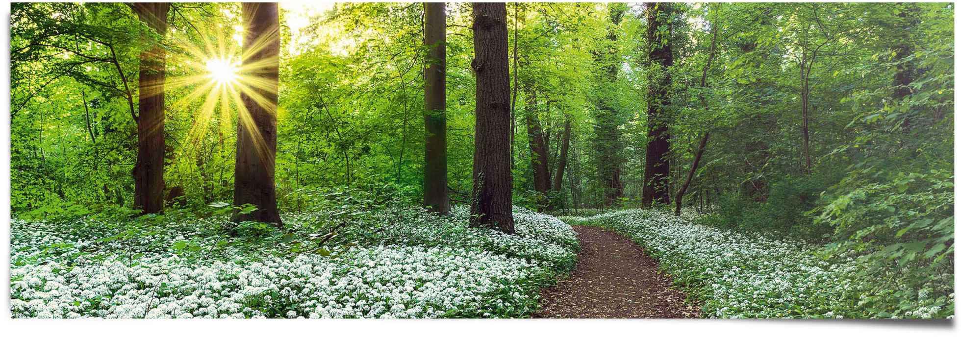 Reinders "Waldlichtung Frühling" 1 tlg. günstig online kaufen