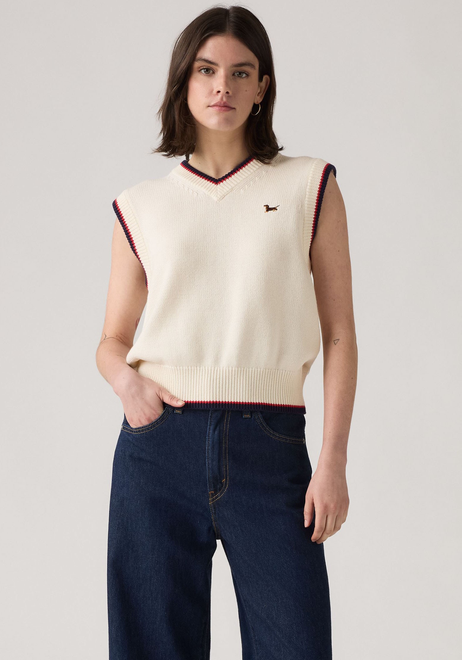 Levis Pullunder "CHARLIE VNECK VES", Feinstrick mit Wollanteil günstig online kaufen