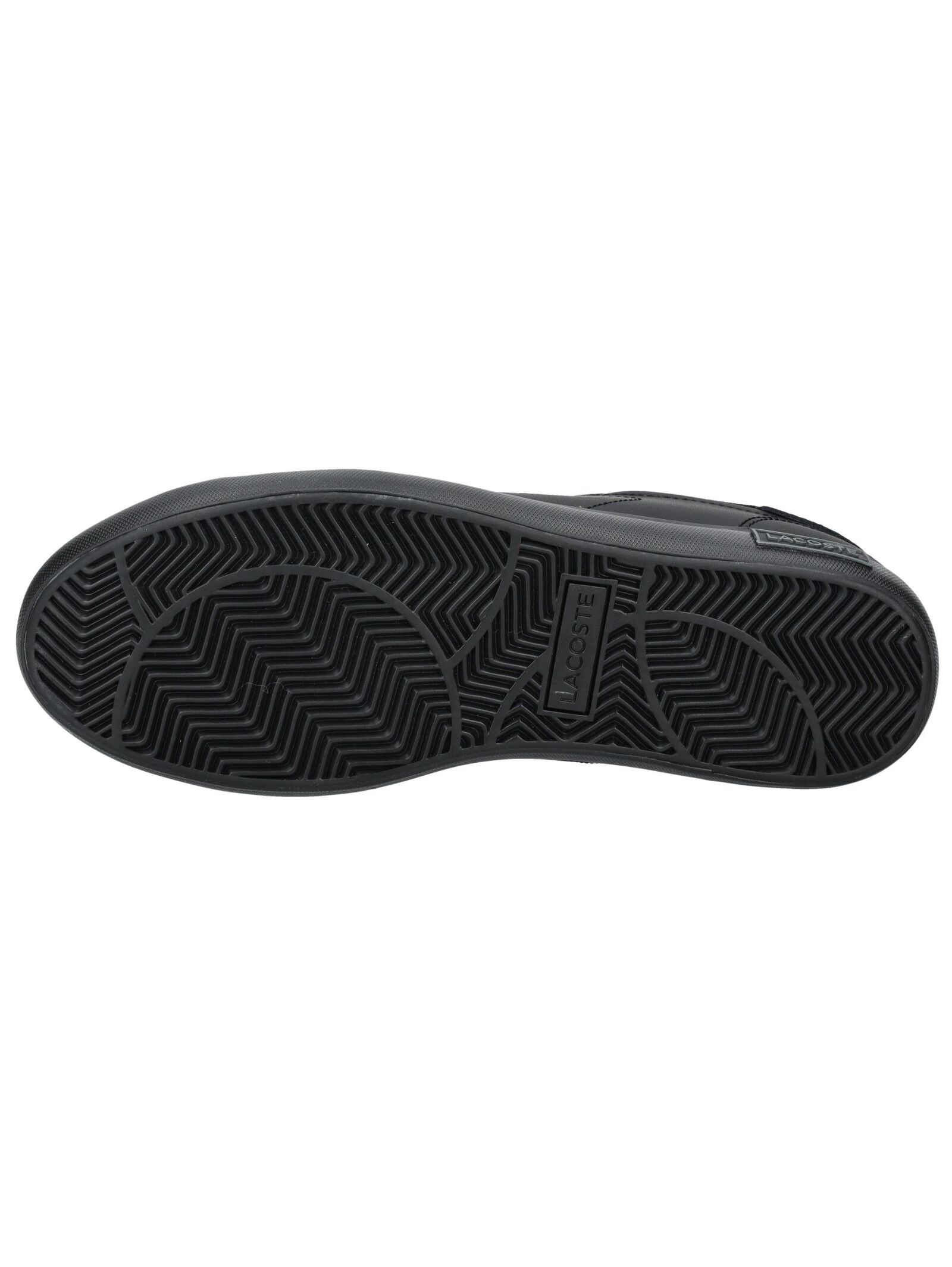 Lacoste Sneaker »lacoste Sneaker Leder«