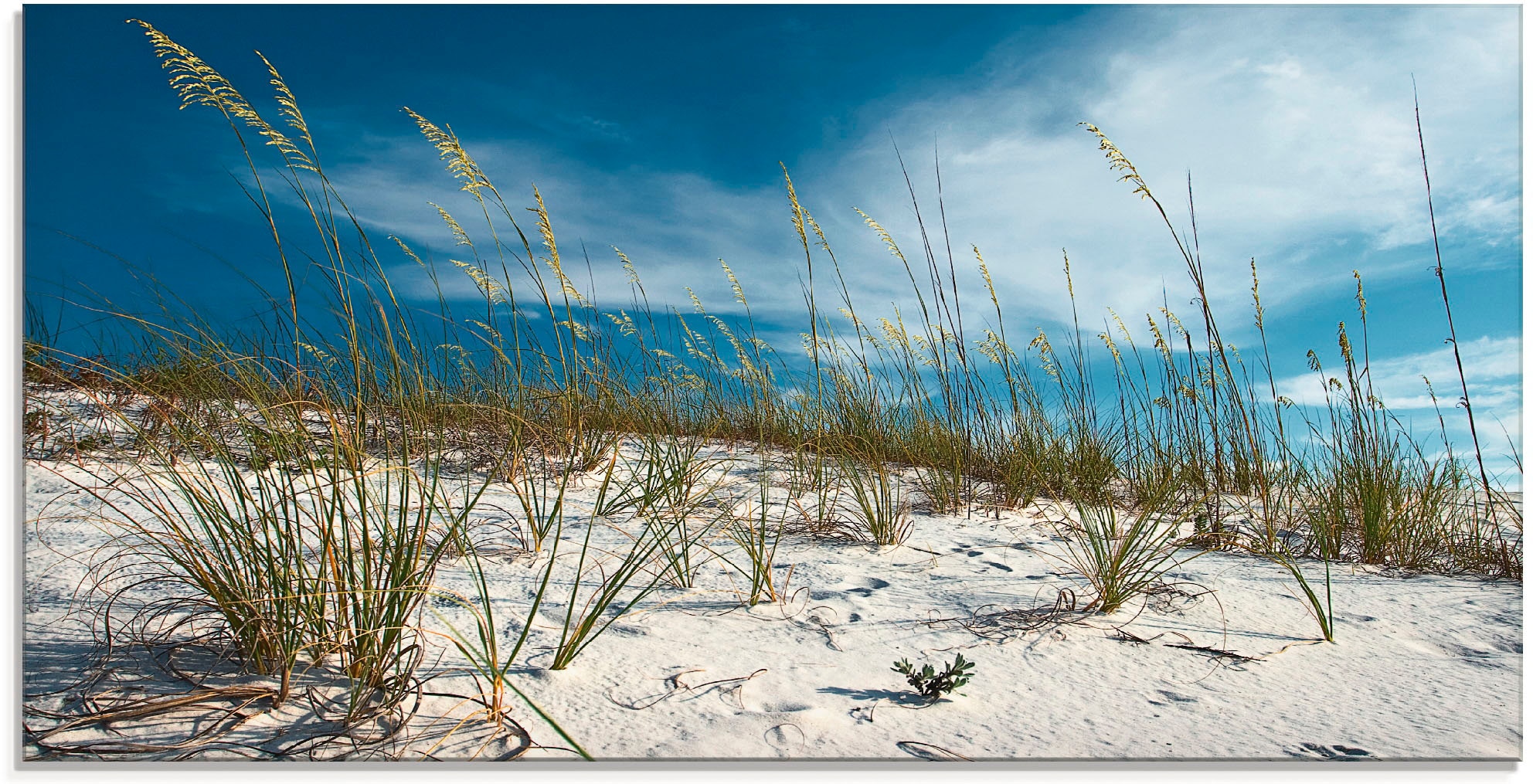 Artland Glasbild "Sanddüne und Gräser", Strand, (1 St.), in verschiedenen Größen