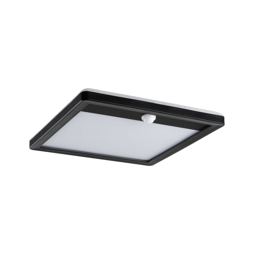 Paulmann LED Außen-Wandleuchte »Außenpanel Lamina IP44 eckig 250x47mm 14W 920lm 230V Kunststoff«, 1 flammig-flammig