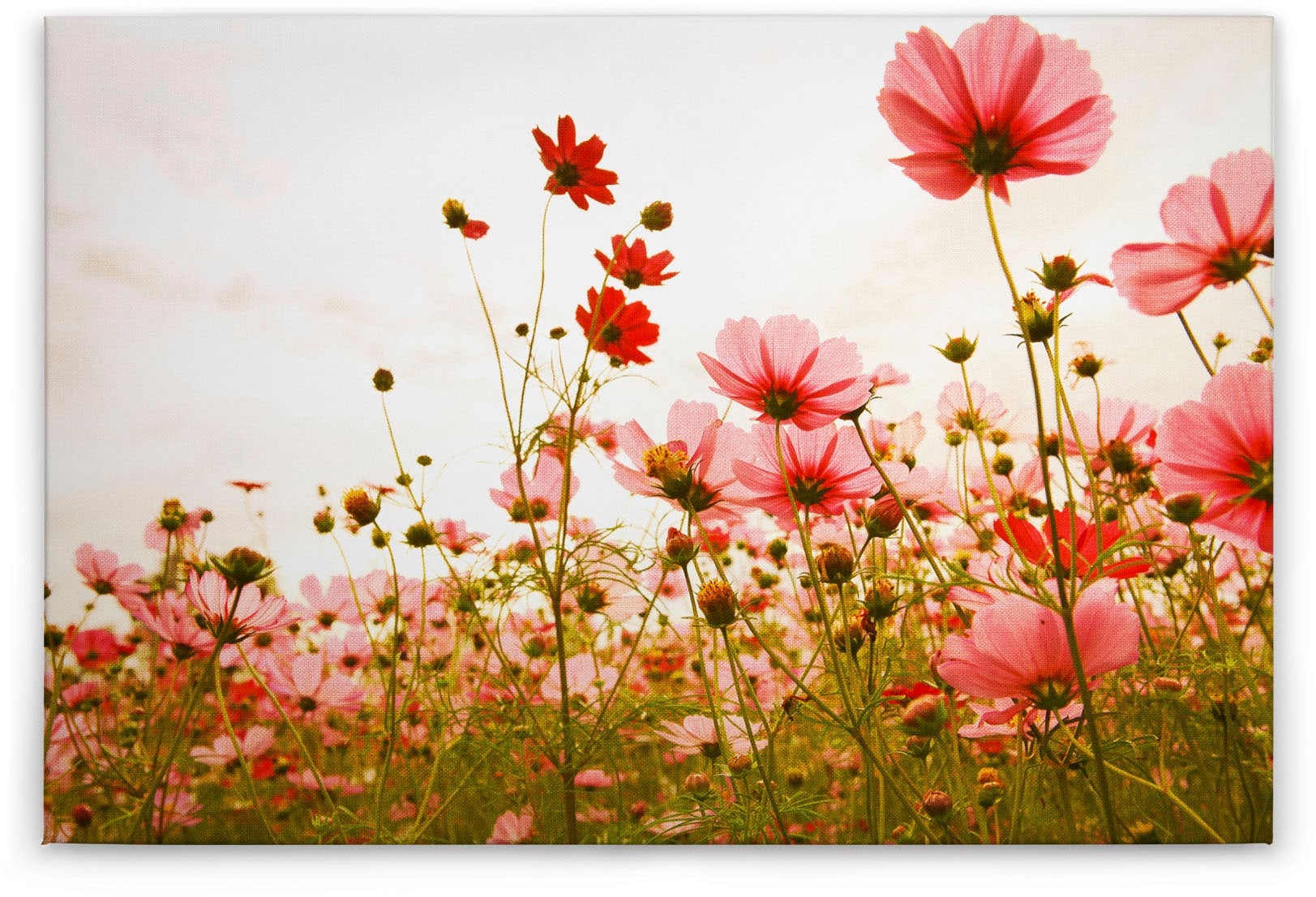 A.S. Création Leinwandbild »Flower Meadow«, Kunst-Blumen-Kinder, (1 St.), Mohnblume Keilrahmen Blumenwiese Leinwand-Bild Wohnzimmer modern Wand