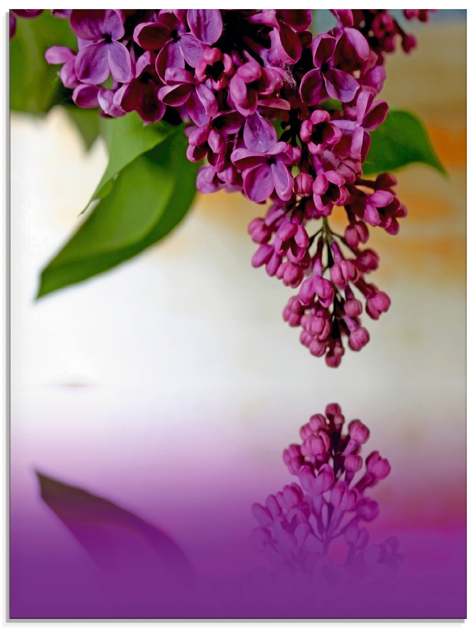 Artland Glasbild "Flieder" Blumen 1 Stk. tlg. in verschiedenen Größen
