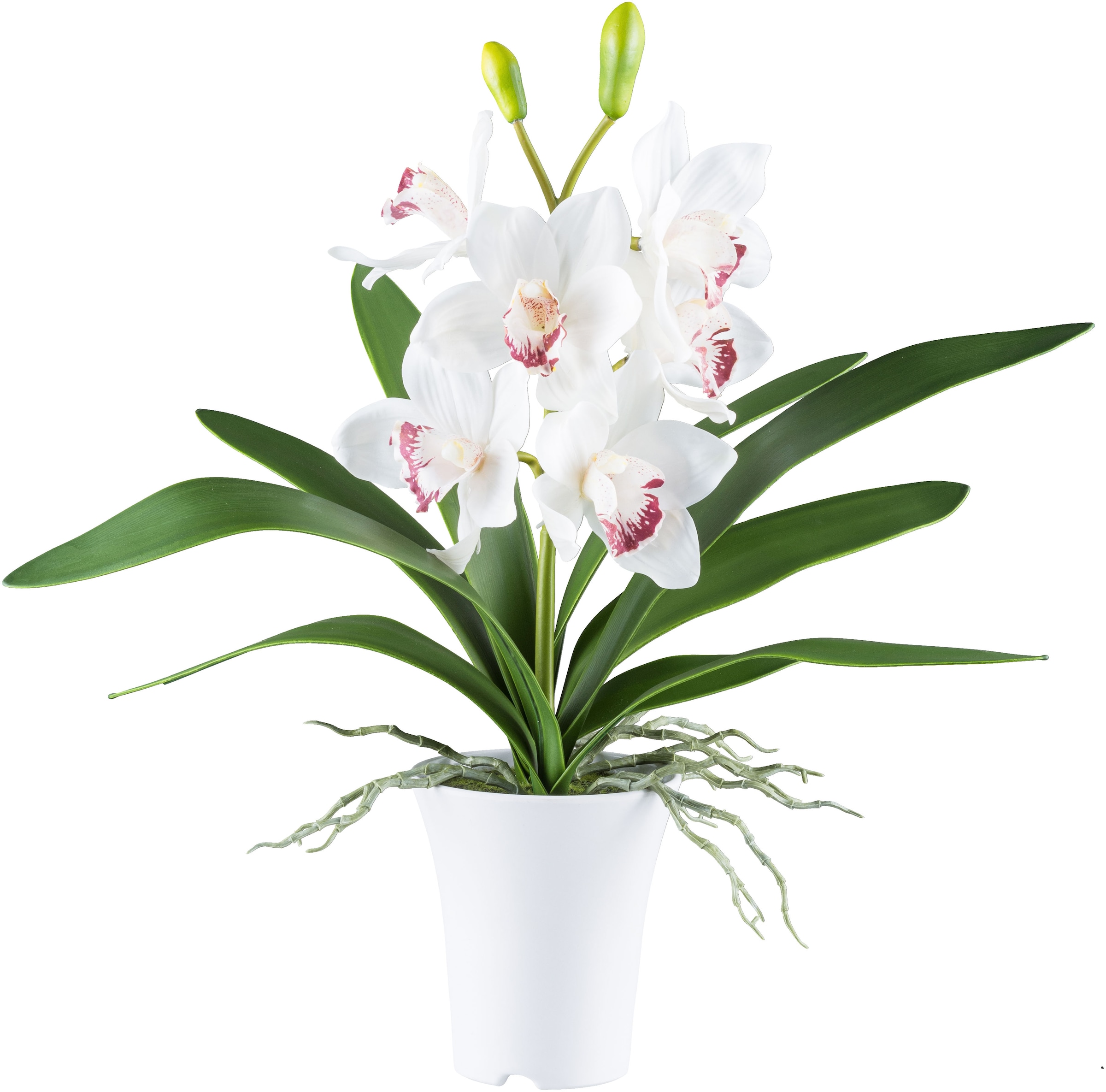 Creativ green Kunstorchidee "Orchidee Cymbidie", mit real-touch-Blüten günstig online kaufen