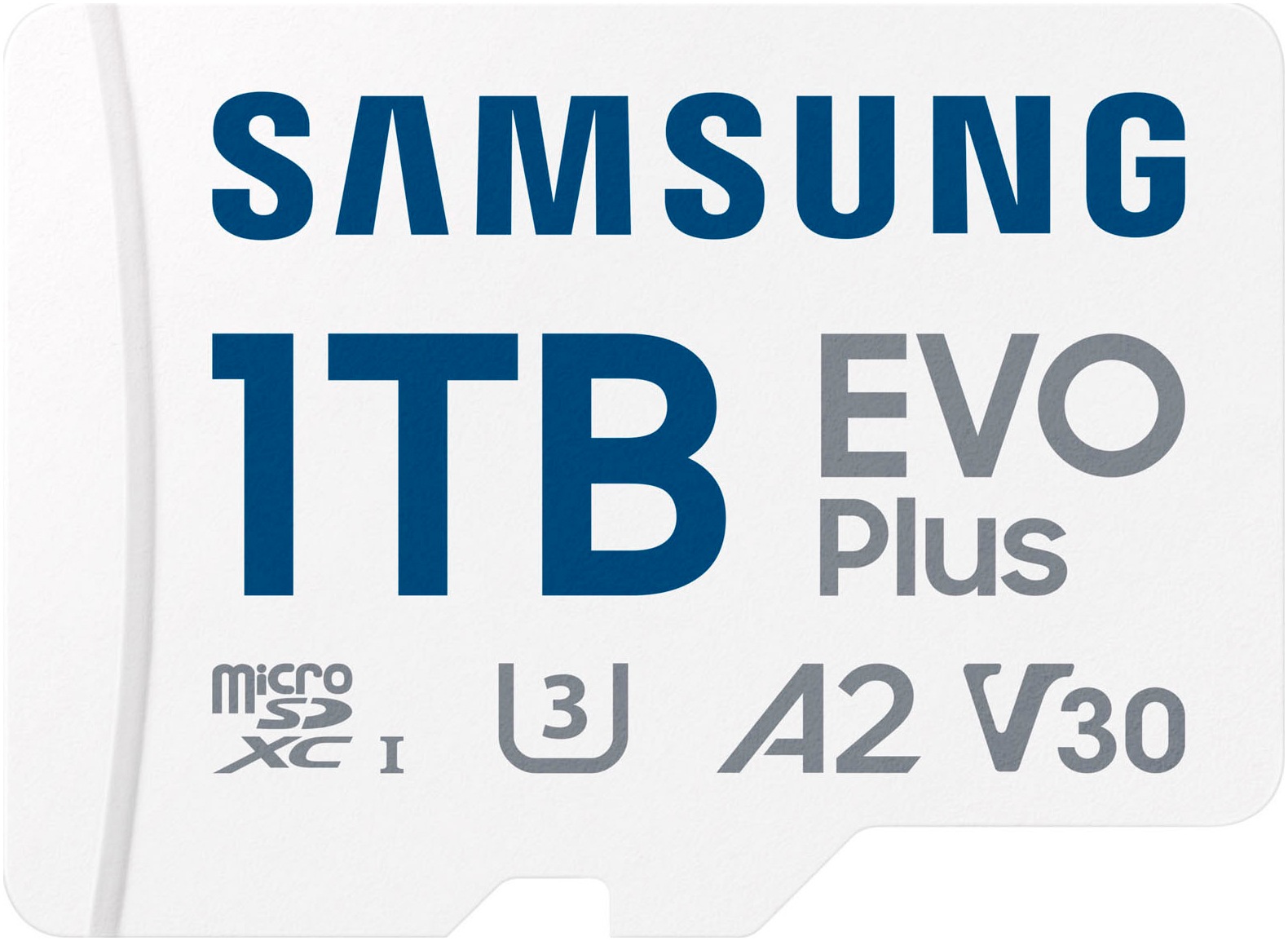 SAMSUNG Speicherkarte "EVO Plus (2024) inkl. SD-Adapter", 1000 GB, weiß, Speicherkarten