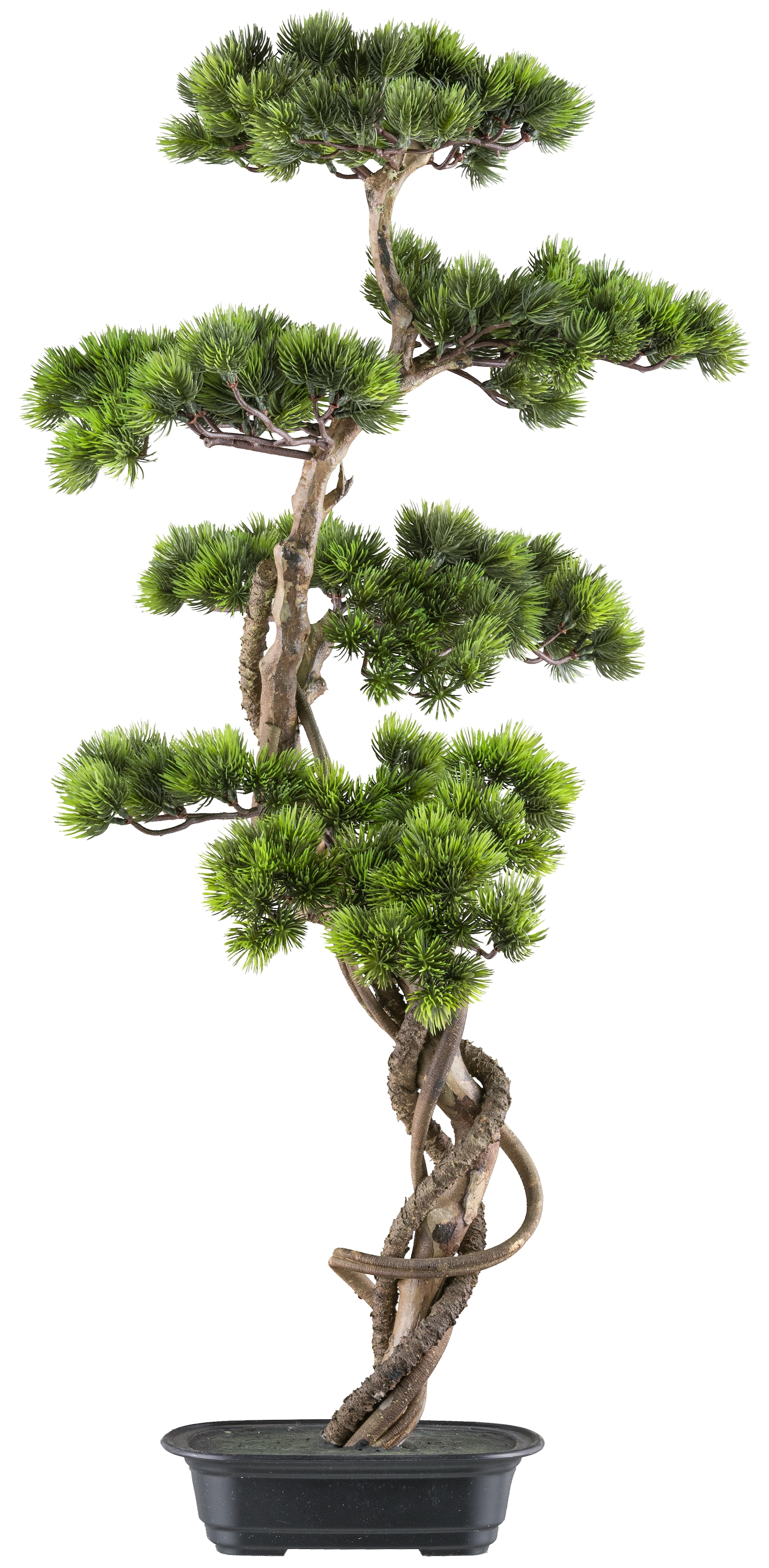 Creativ green Kunstbonsai "Bonsai Kiefer", mit elegantem Stamm günstig online kaufen