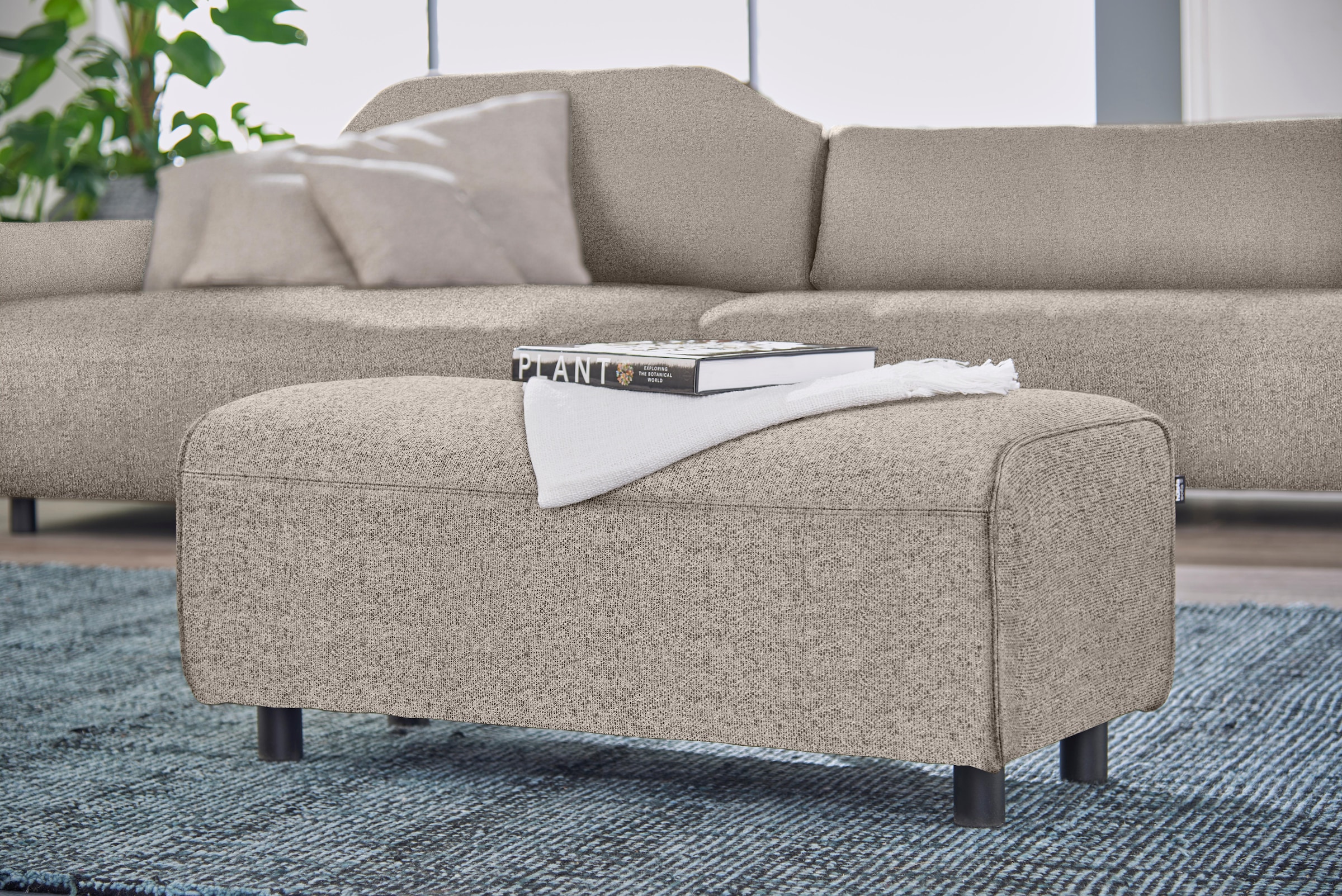 hülsta sofa Hockerbank »hs.480« | BAUR