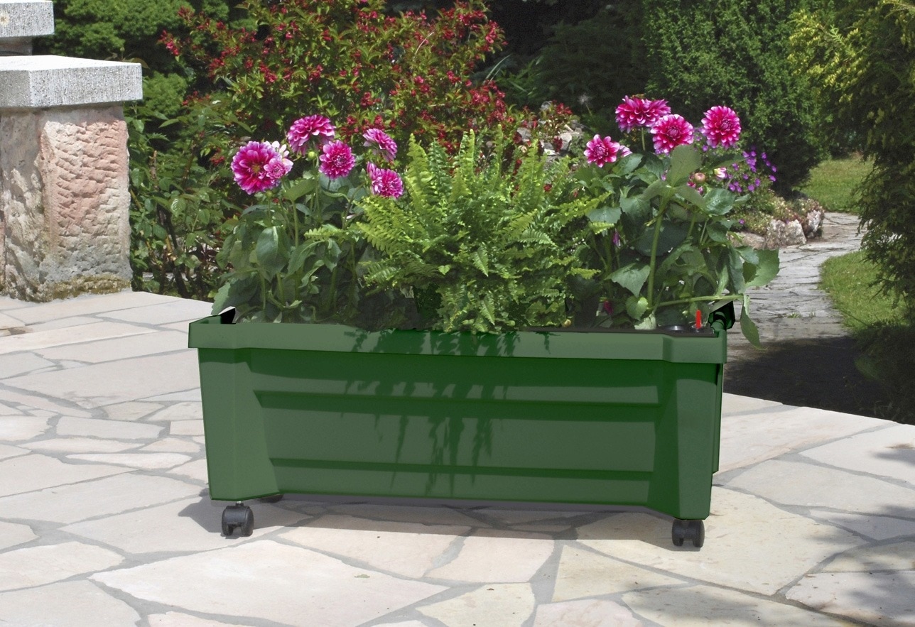KHW Pflanzkübel, Kunststoff, BxTxH: 79x35x33 cm günstig online kaufen