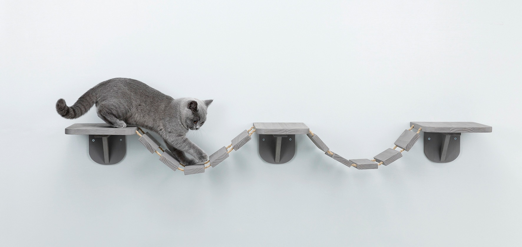 TRIXIE Katzen-Kletterwand, hoch, BxTxH: 150x30x5 cm kaufen