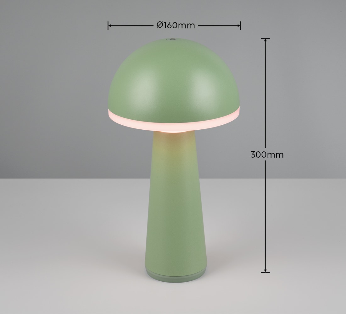REALITY Leuchten LED Außen-Tischleuchte »FUNGO«, 1 flammig, Leuchtmittel LED-Board | LED fest integriert, Outdoor Akku Tischlampe inkl Ladestation USB-C, Lichtfarbe einstellbar