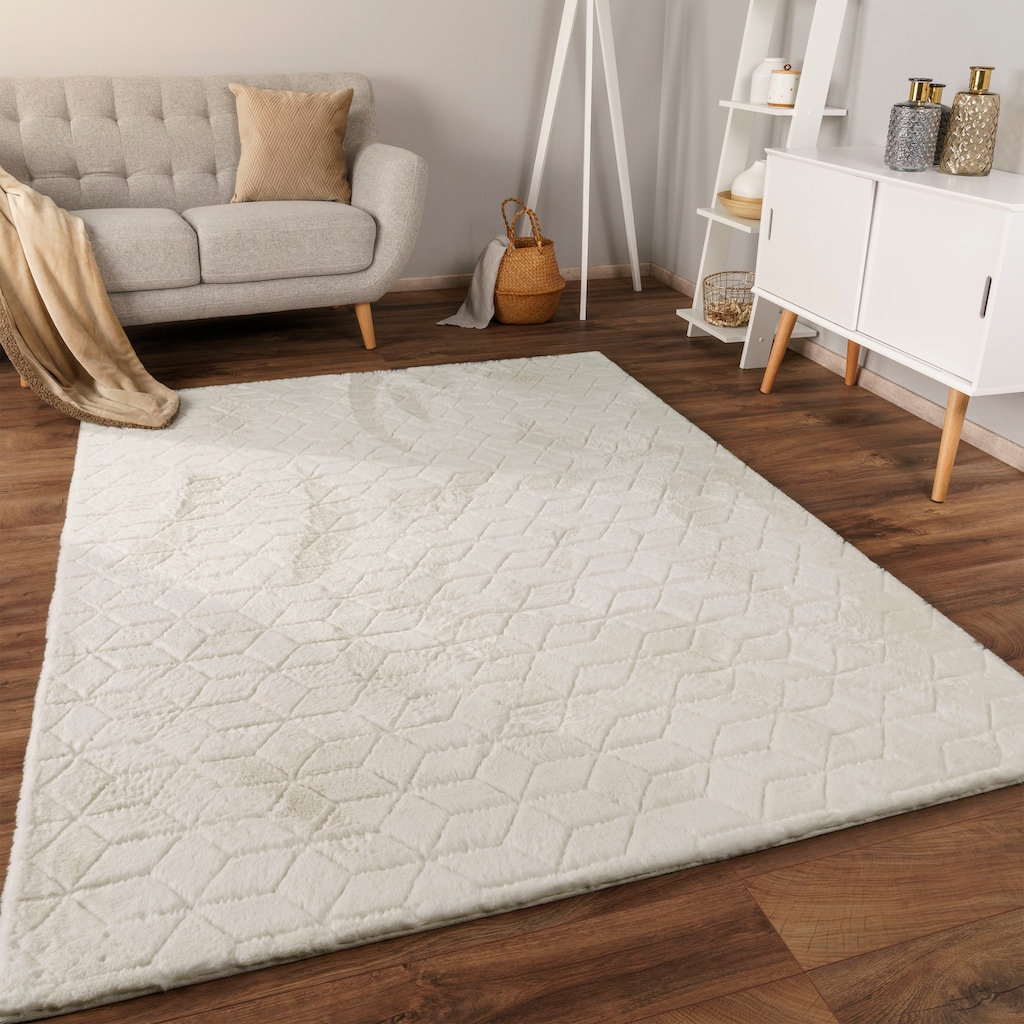 Paco Home Hochflor-Teppich »Arnheim 745«, rechteckig, Uni Farben, modernes geometrisches Design, besonders weich