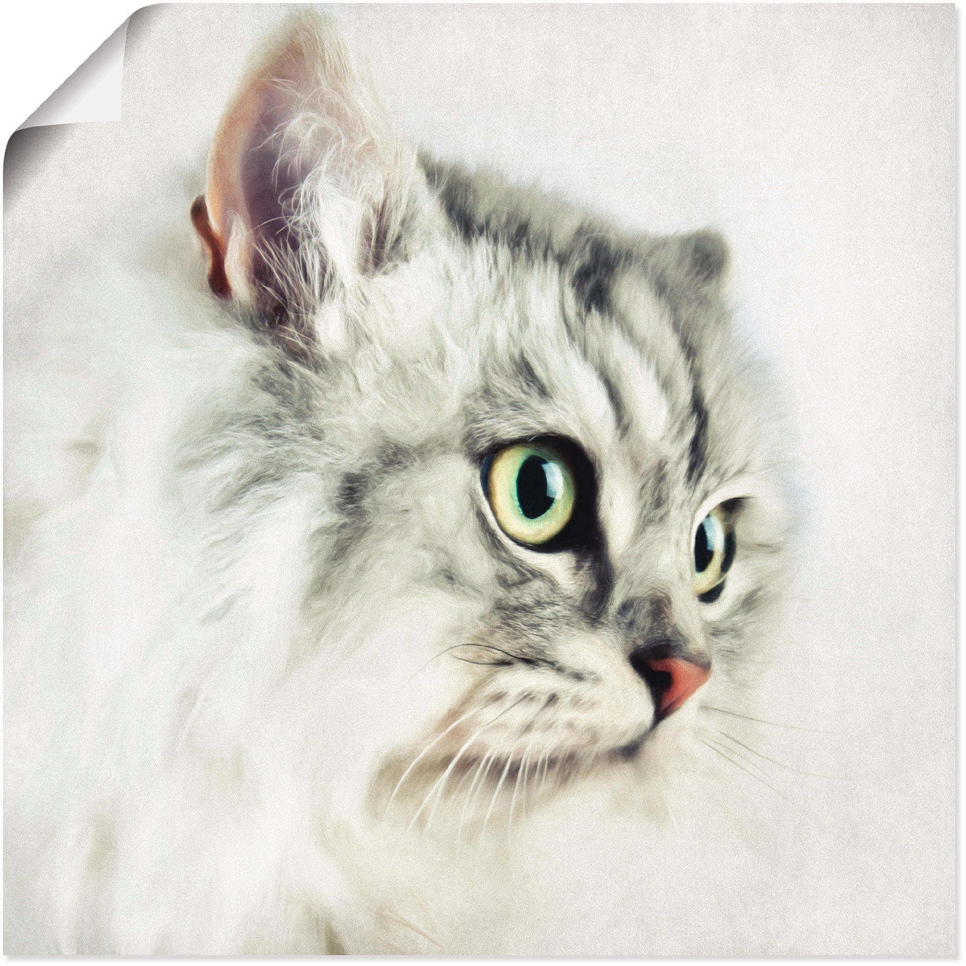 (1 | Katze, queence kaufen »Simbah«, Bild St.) BAUR