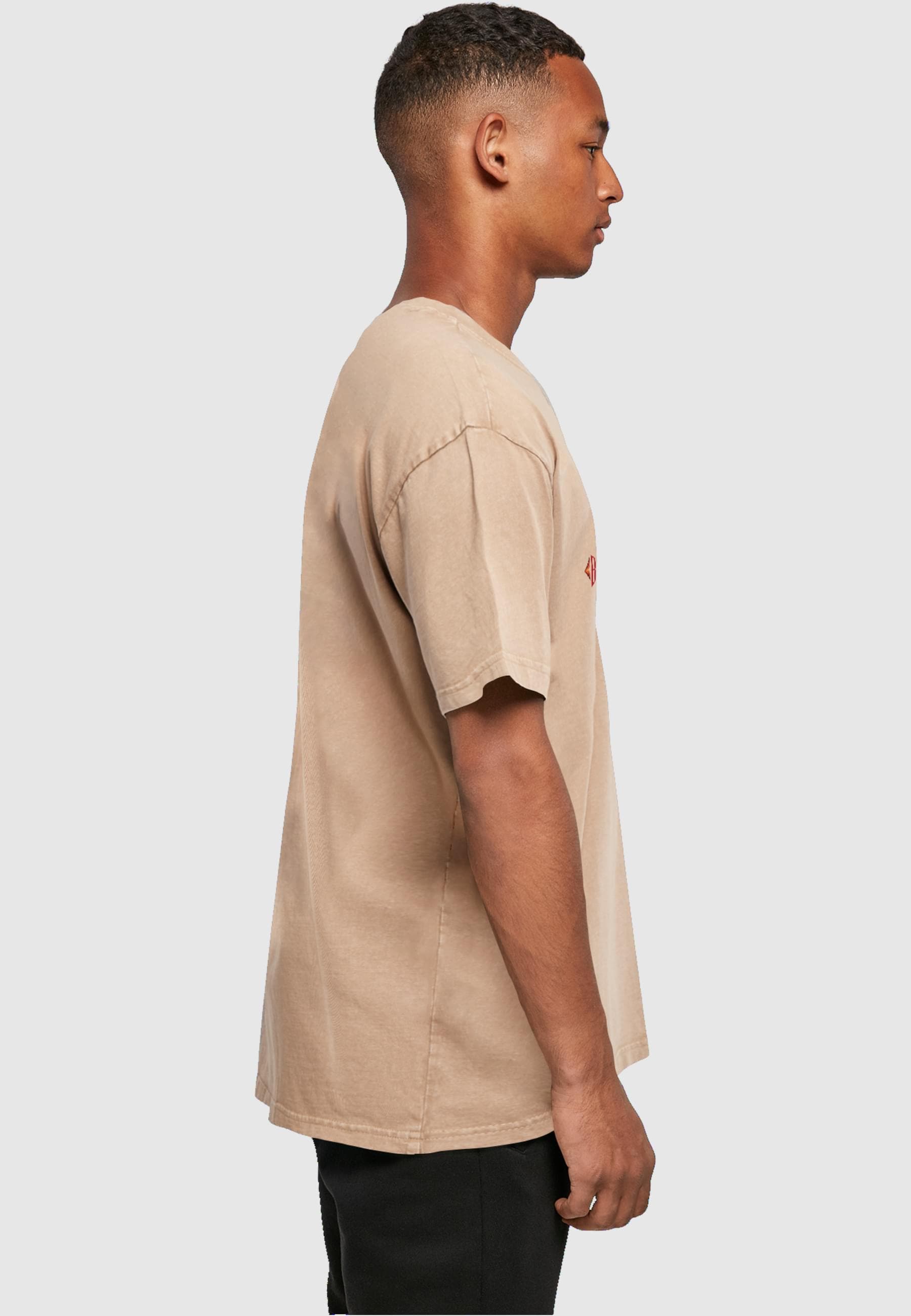 ABSOLUTE CULT T-Shirt »ABSOLUTE CULT Herren«, (1 tlg.)