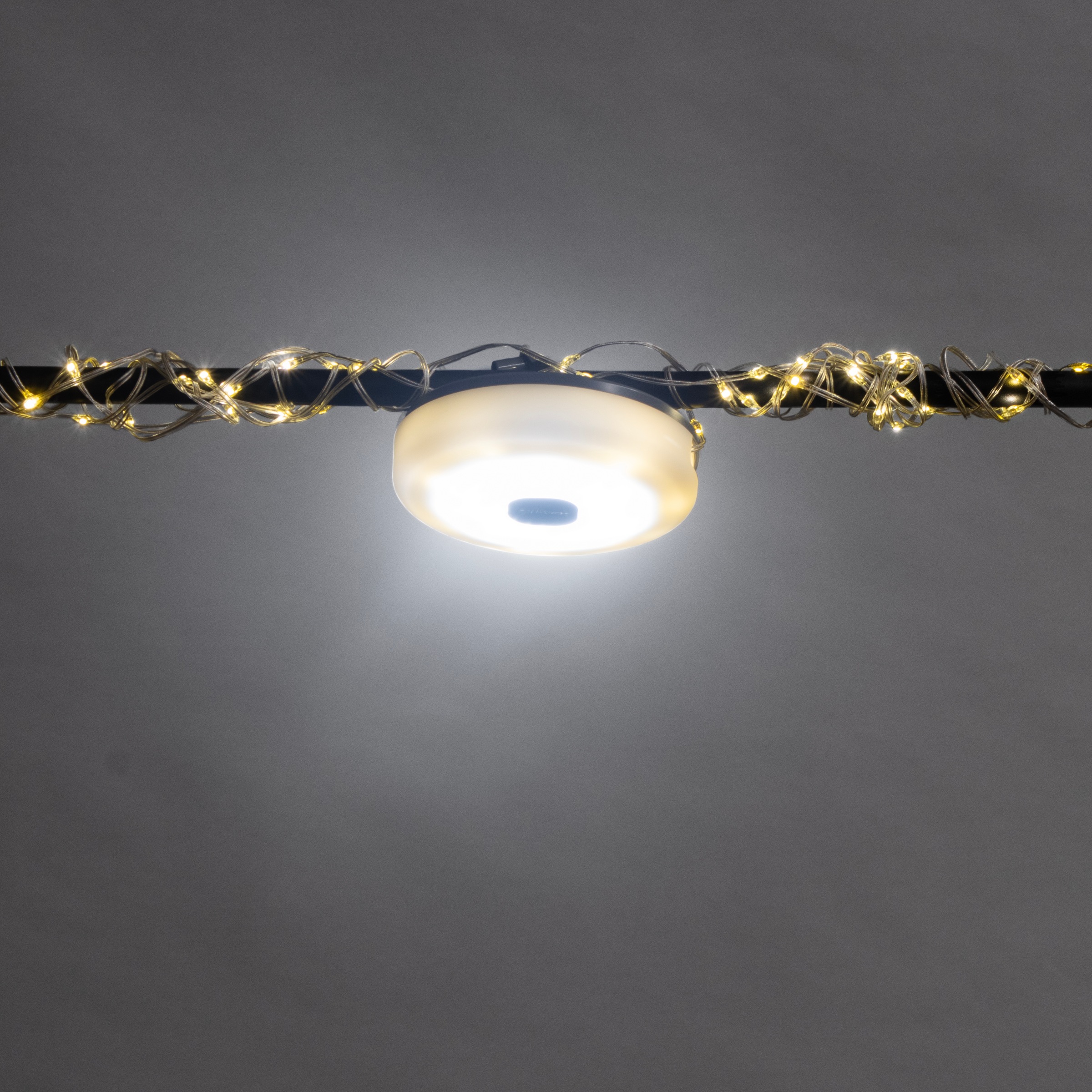 easy! BY FHL LED Tischleuchte »Benni«, 1 flammig, Leuchtmittel LED-Modul | LED fest integriert, lange Leuchtdauer