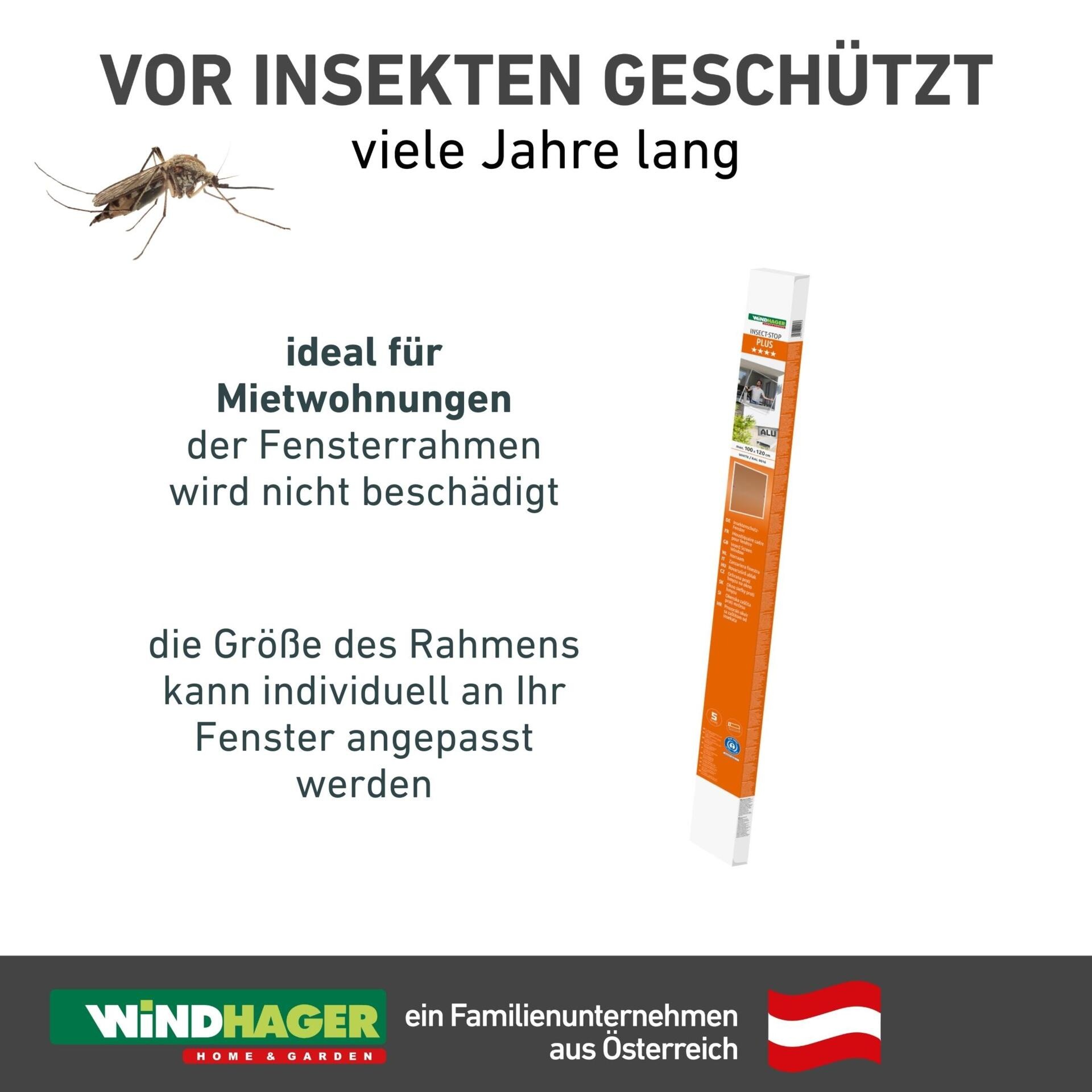Windhager Insektenschutz-Fensterrahmen »Plus aus robusten Fieberglasgewebe, Insektenschutzgitter für Fenster« 1 Stk. tlg. Fliegengitter in weiß, anthrazit erhältlich, 100x120cm, ohne bohren