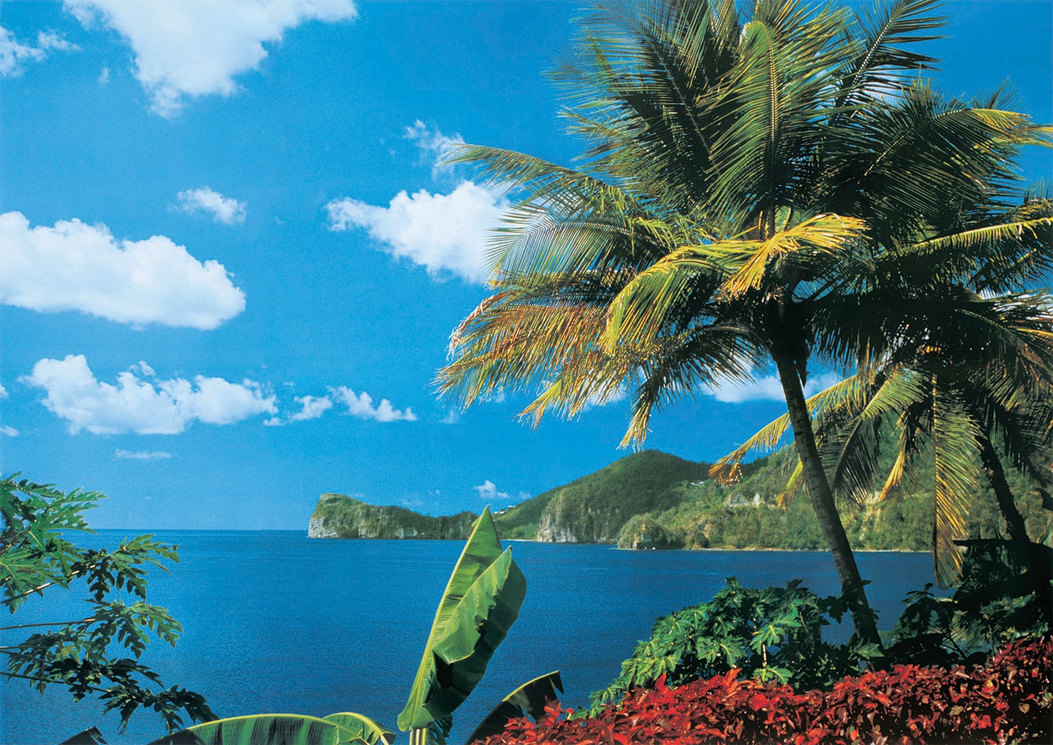 Papermoon Fototapete "St. Lucia"