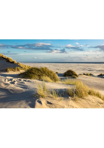 Fototapete »DÜNEN-AMRUM NORDSEE STRAND MEER INSEL HOLSTEIN GRAS XXL«