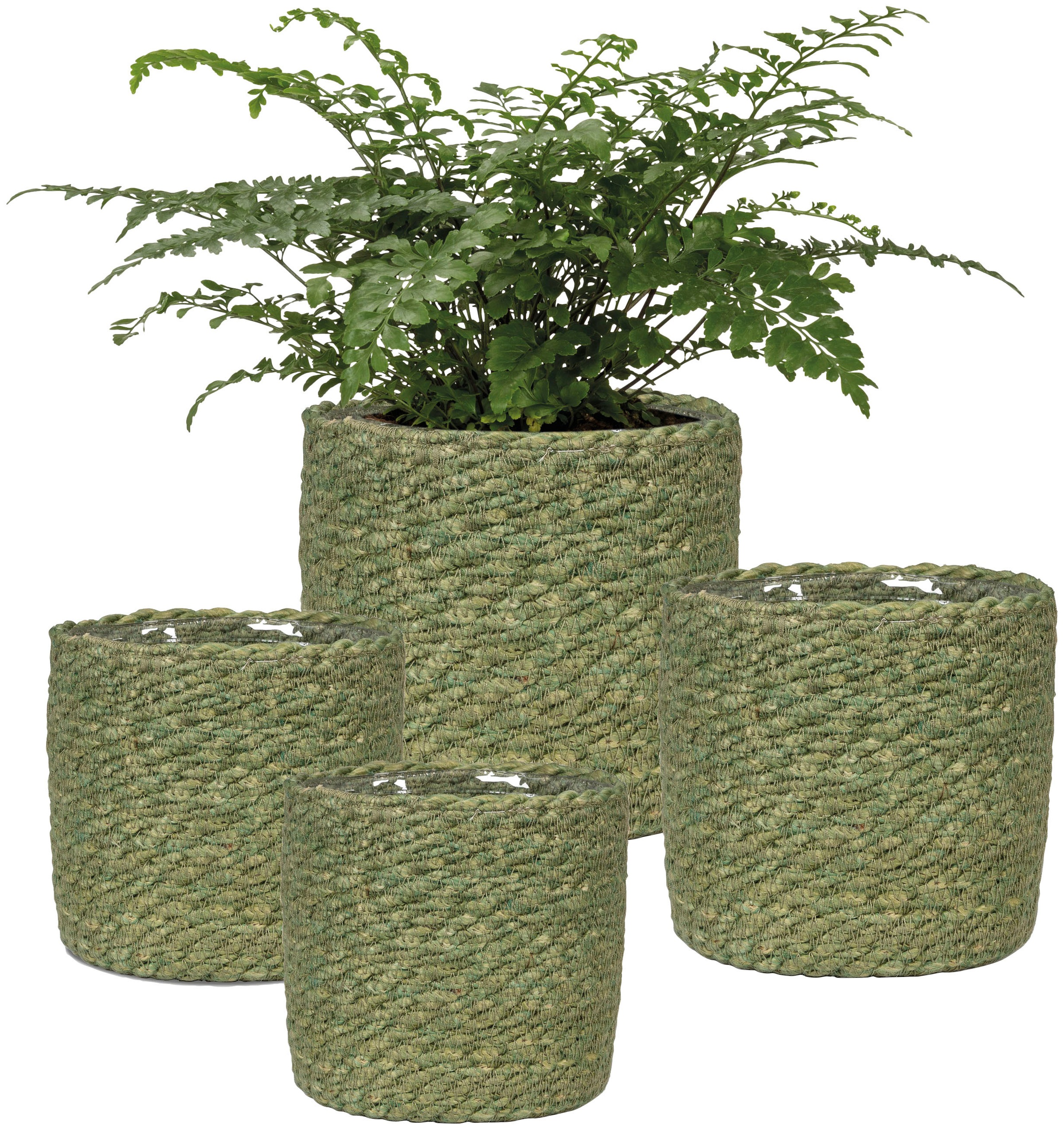 Scheurich Blumentopf »GREEN 19/508«