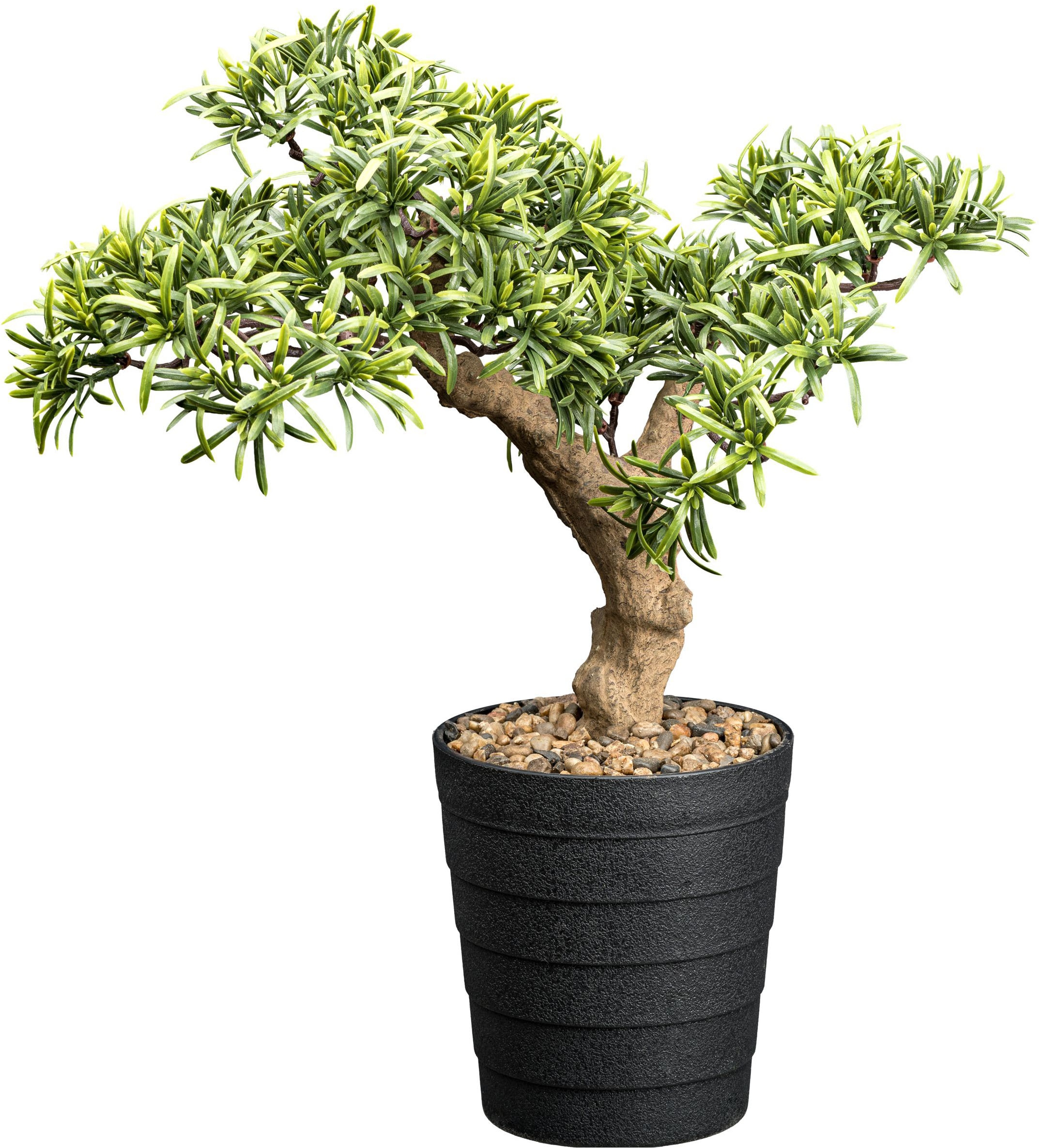 Creativ green Kunstbonsai "Bonsai Steineibe", mit Deko-Kies