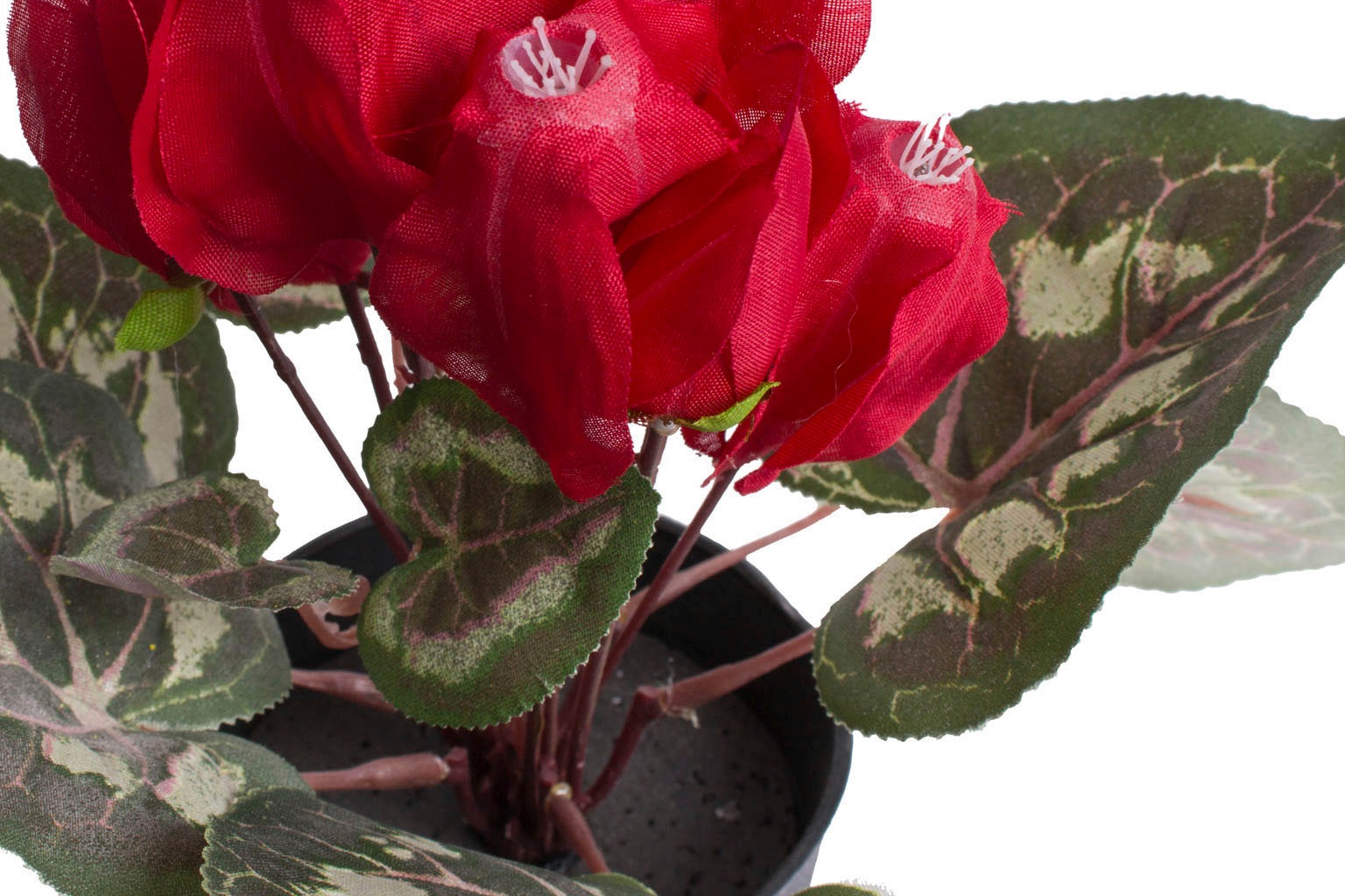 Botanic-Haus Kunstblume "Alpenveilchen" günstig online kaufen