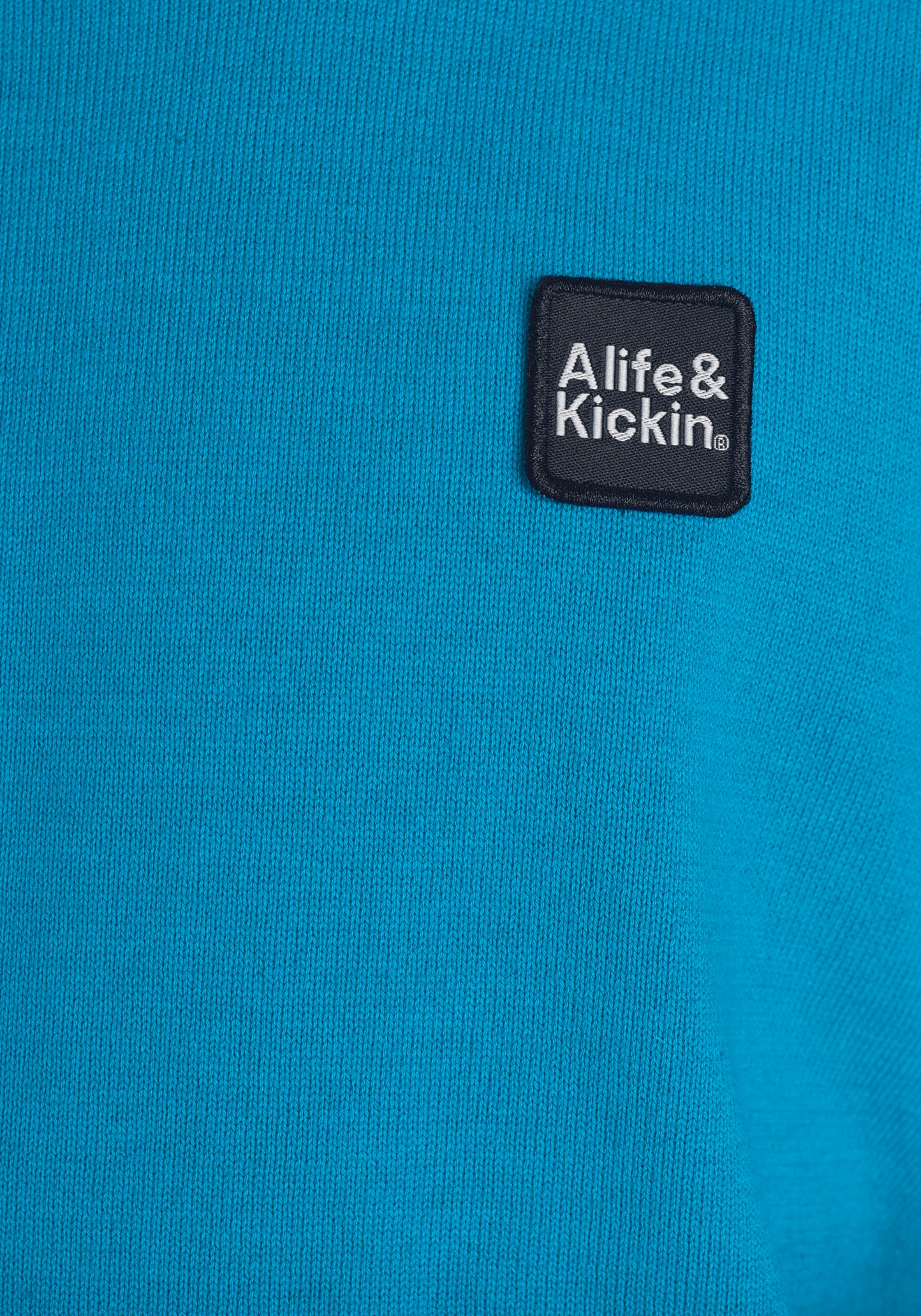 Alife & Kickin Strickpullover »für Jungen«, in tollem Farbverlauf