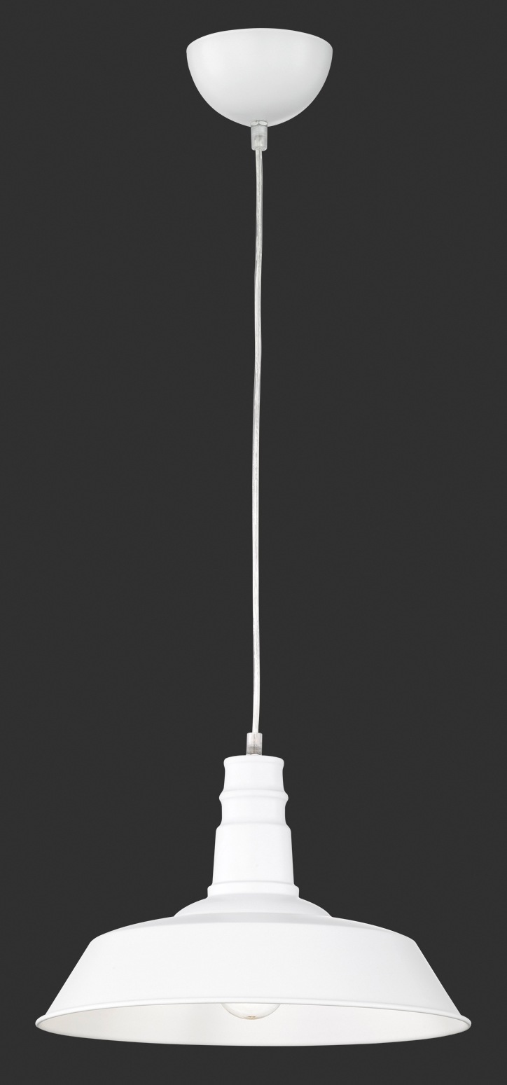 REALITY Leuchten Pendelleuchte »WILL« E27 Hängeleuchte, Hängelampe