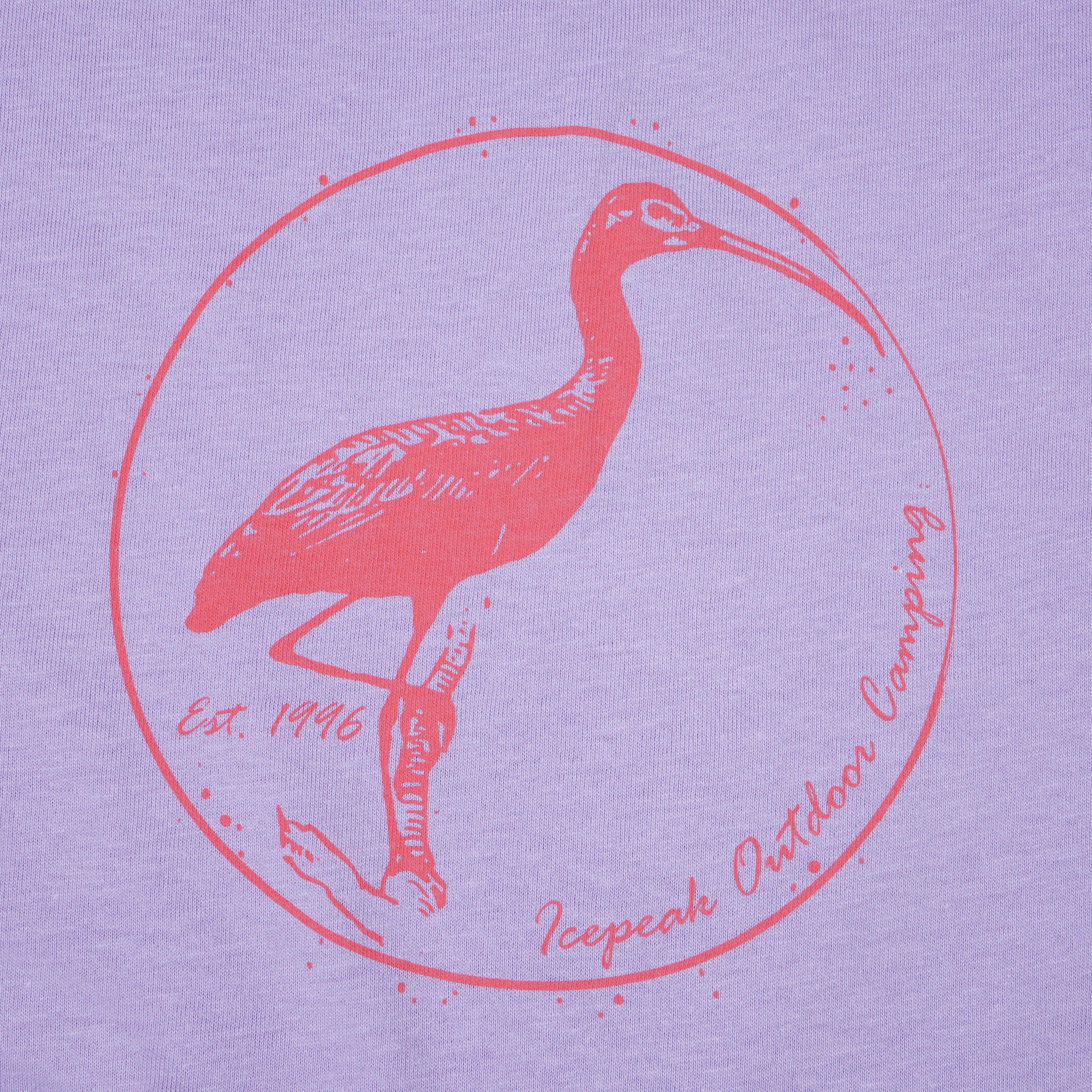 Icepeak T-Shirt »LEADVILLE JR« für Kinder und Jugendliche, sportlicher Stil