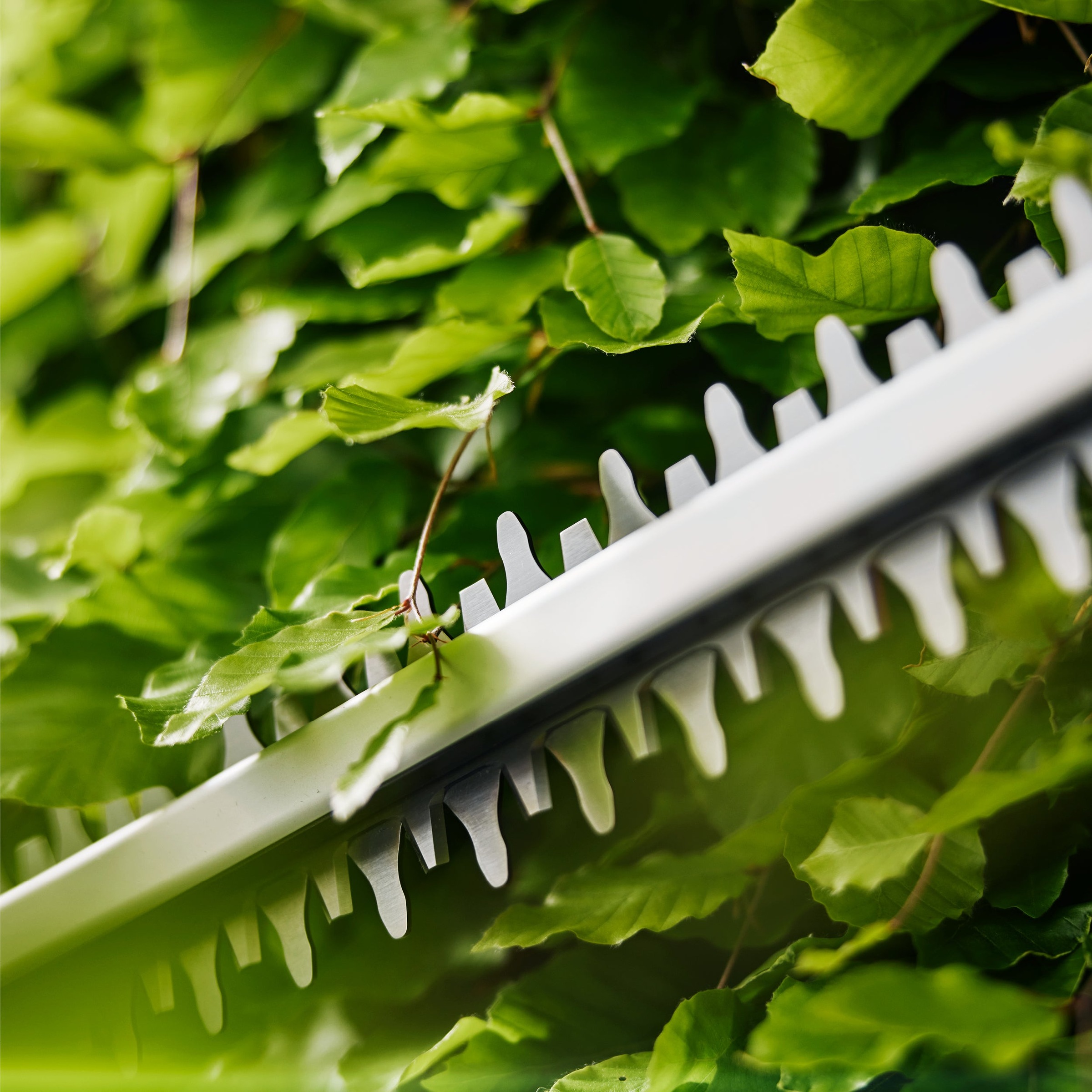 GARDENA Akku-Heckenschere »EasyCut 55/18V P4A Ready-To-Use Set« ()  Inkl. Akku und Ladegerät