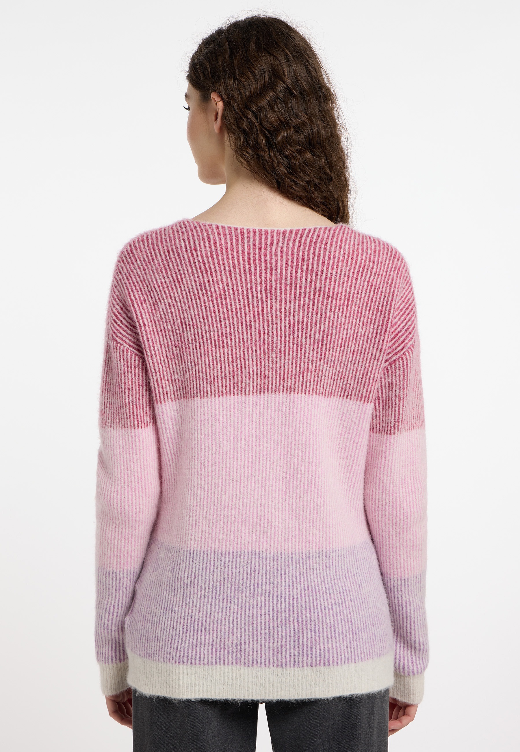 Frieda & Freddies Strickpullover »Pullover«, mit dezenten Farbdetails