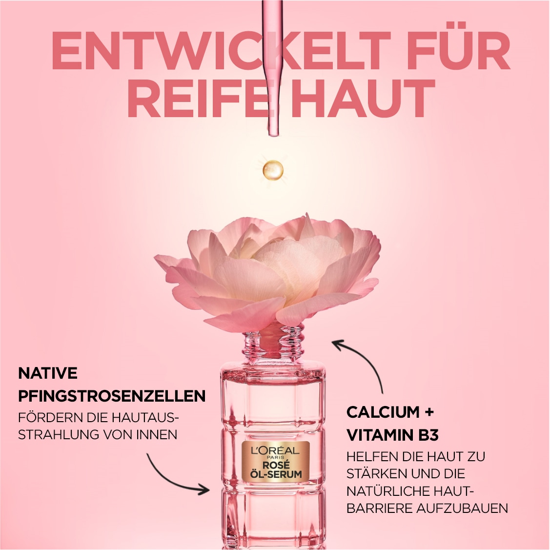 L'ORÉAL PARIS Gesichtsserum »Age Perfect GoldenAge Rosé-Öl Serum«, mit hoher Wirksamkeit