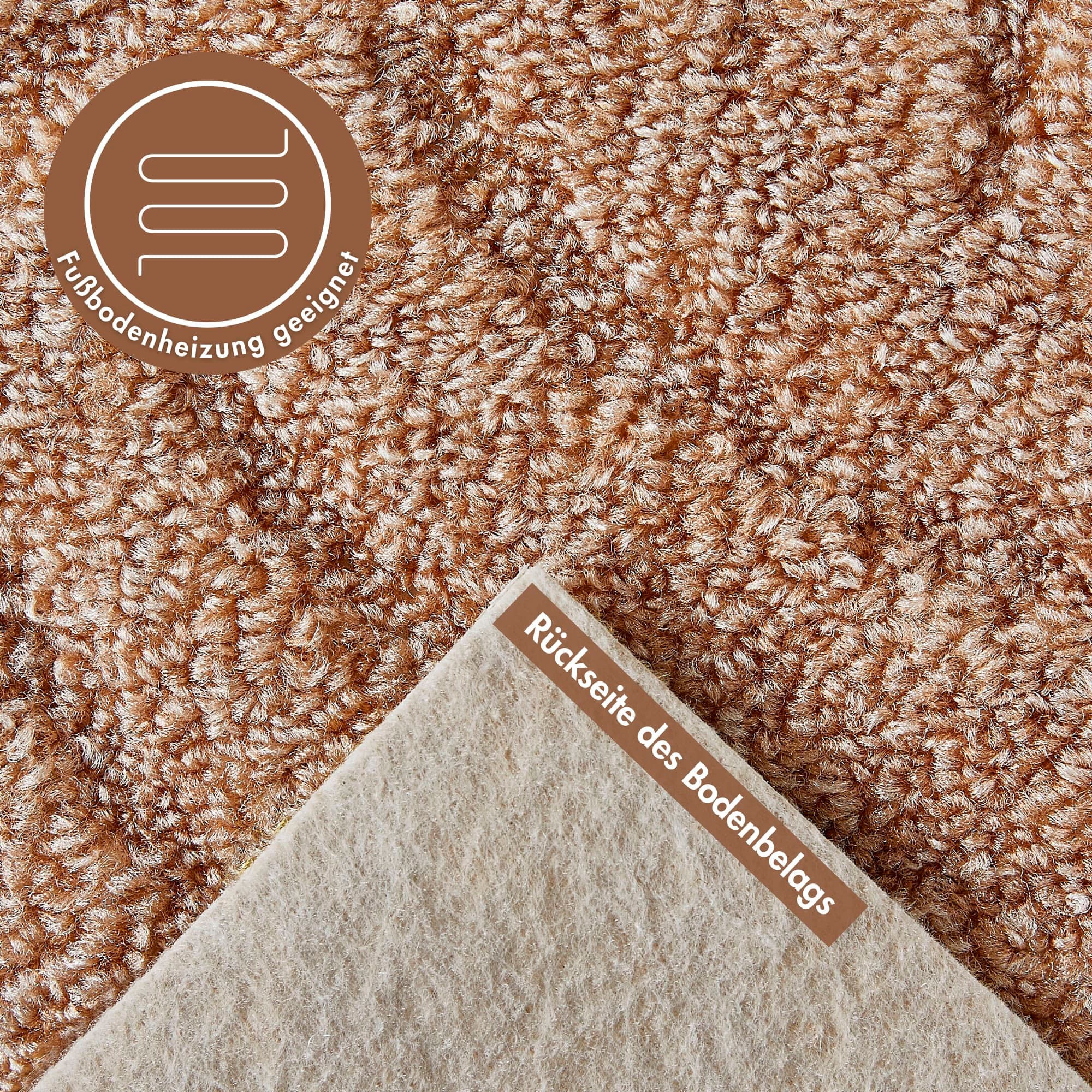ANDIAMO Amberg Loop Pile Carpet Beige 500x500cm 2