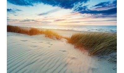 Fototapete »Grasdünen bei Sonnenuntergang«