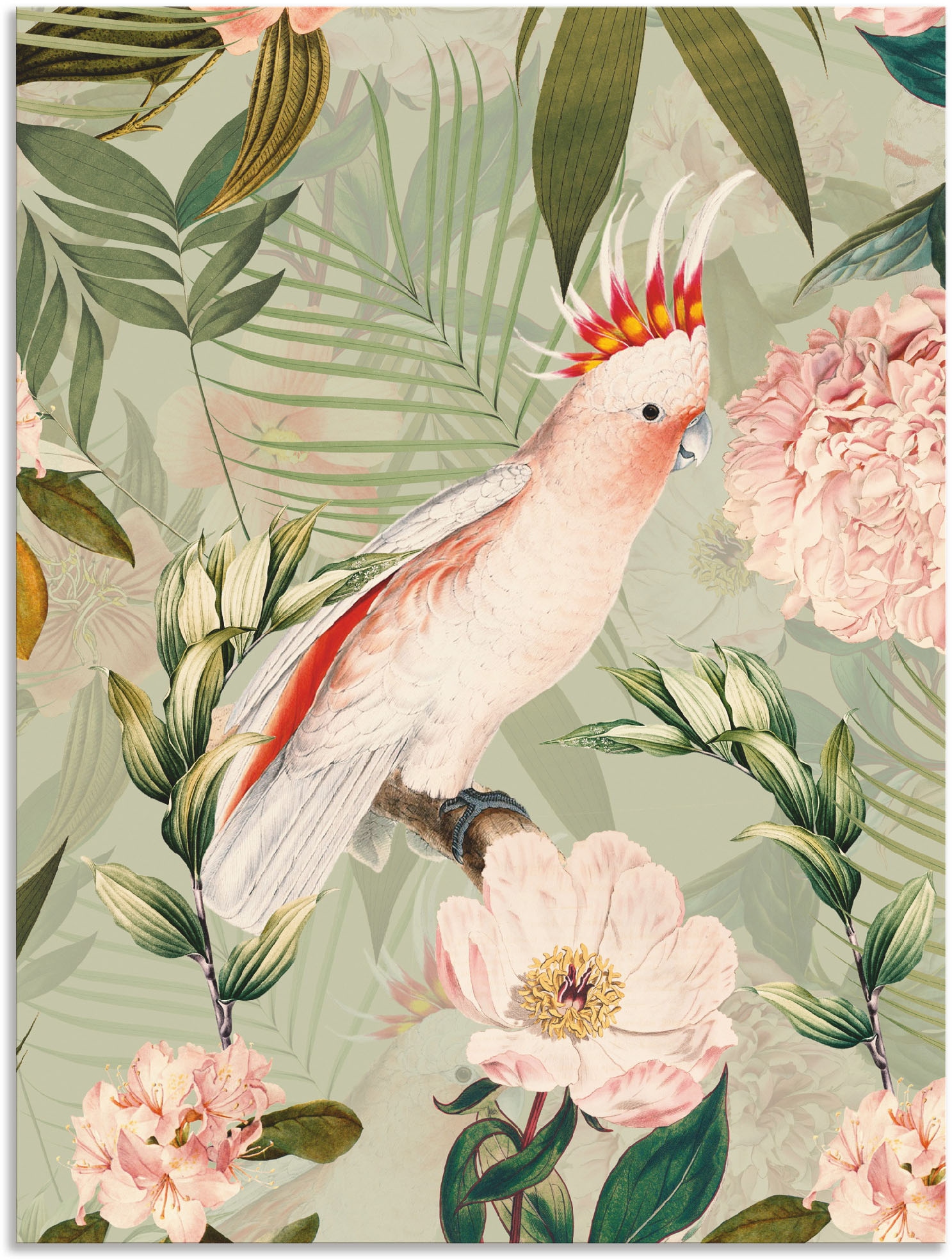 Artland Wandbild »Vintage in Leinwandbild, bestellen | Wandaufkleber als Papagei«, Poster versch. Alubild, (1 oder Größen BAUR St.), Vogelbilder