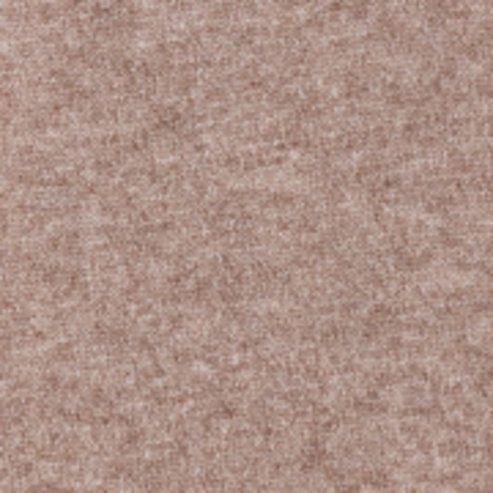 Cecil Jogger Pants  High Waist