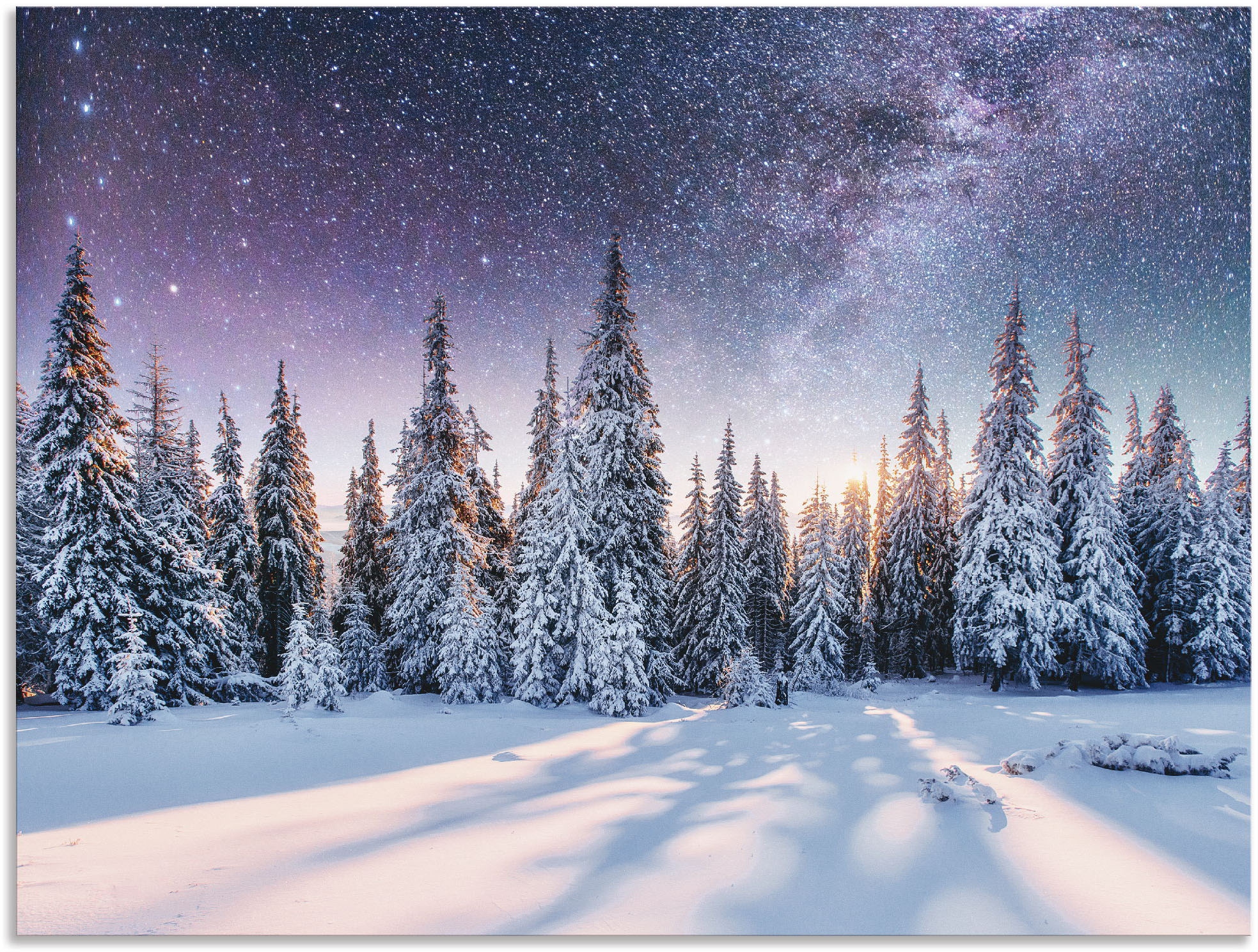 Artland Wandbild "Tannenwald im Schnee vorm Sternenhimmel" Berge & Alpenbil günstig online kaufen
