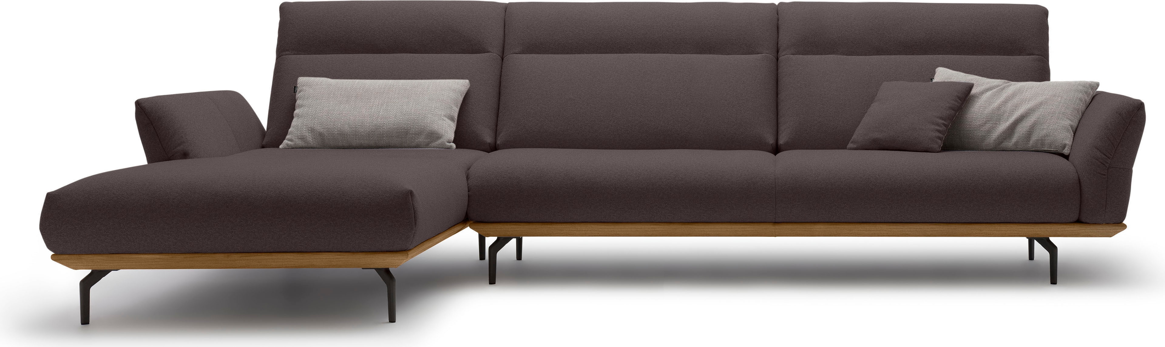 Creation BY ROLF BENZ Ecksofa "CR.460 Designsofa mit erstklassigem Sitzkomfort" Sockel in Nussbaum, Winkelfüße in Umbragrau, Breite 338 cm