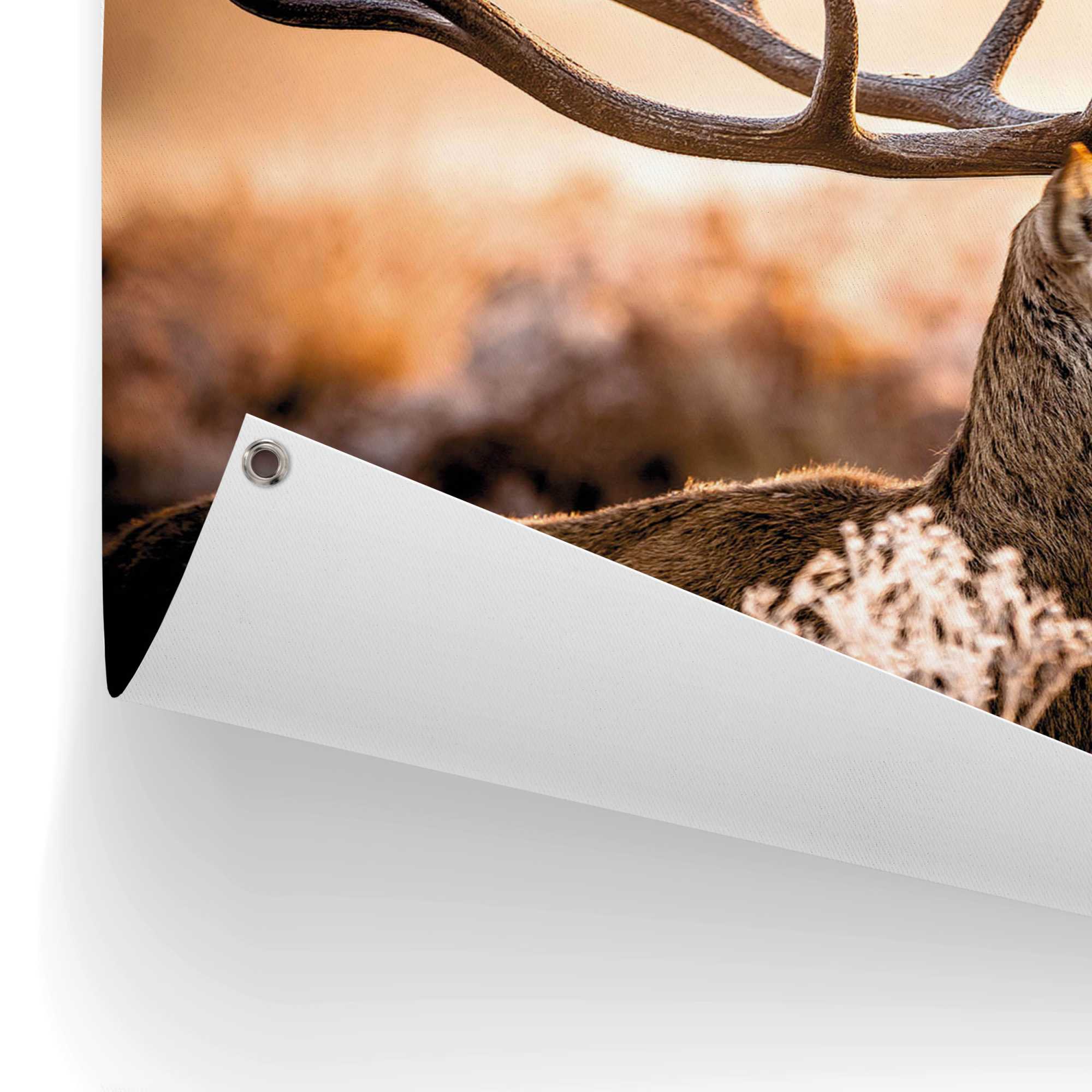 Thumbnail - Reinders Poster "Hirsch", Outdoor für Garten oder Balkon
