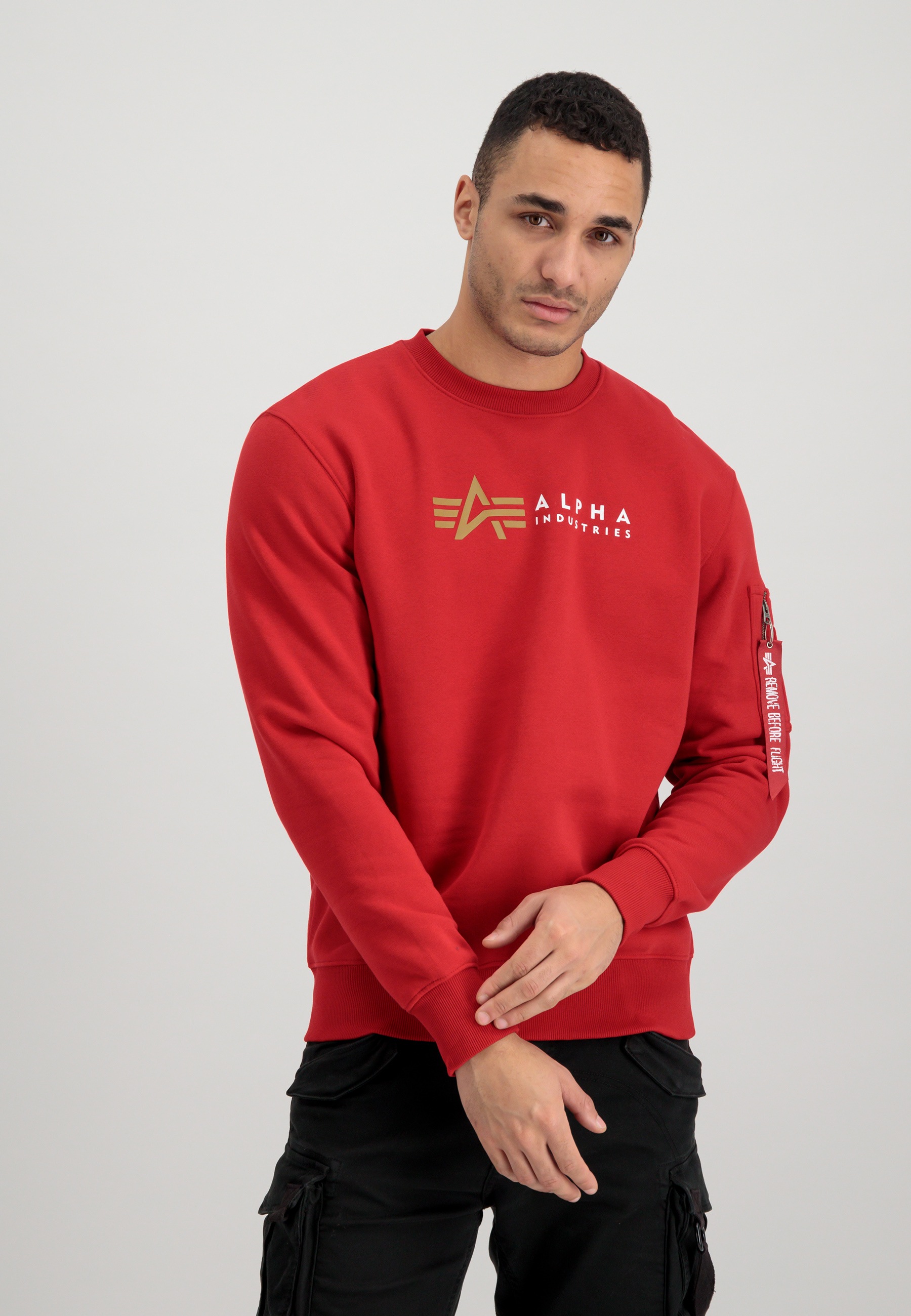Alpha Industries Sweater »Alpha Industries Hoodys ▷ Alpha & Label - Sweater« | BAUR Sweats Men bestellen