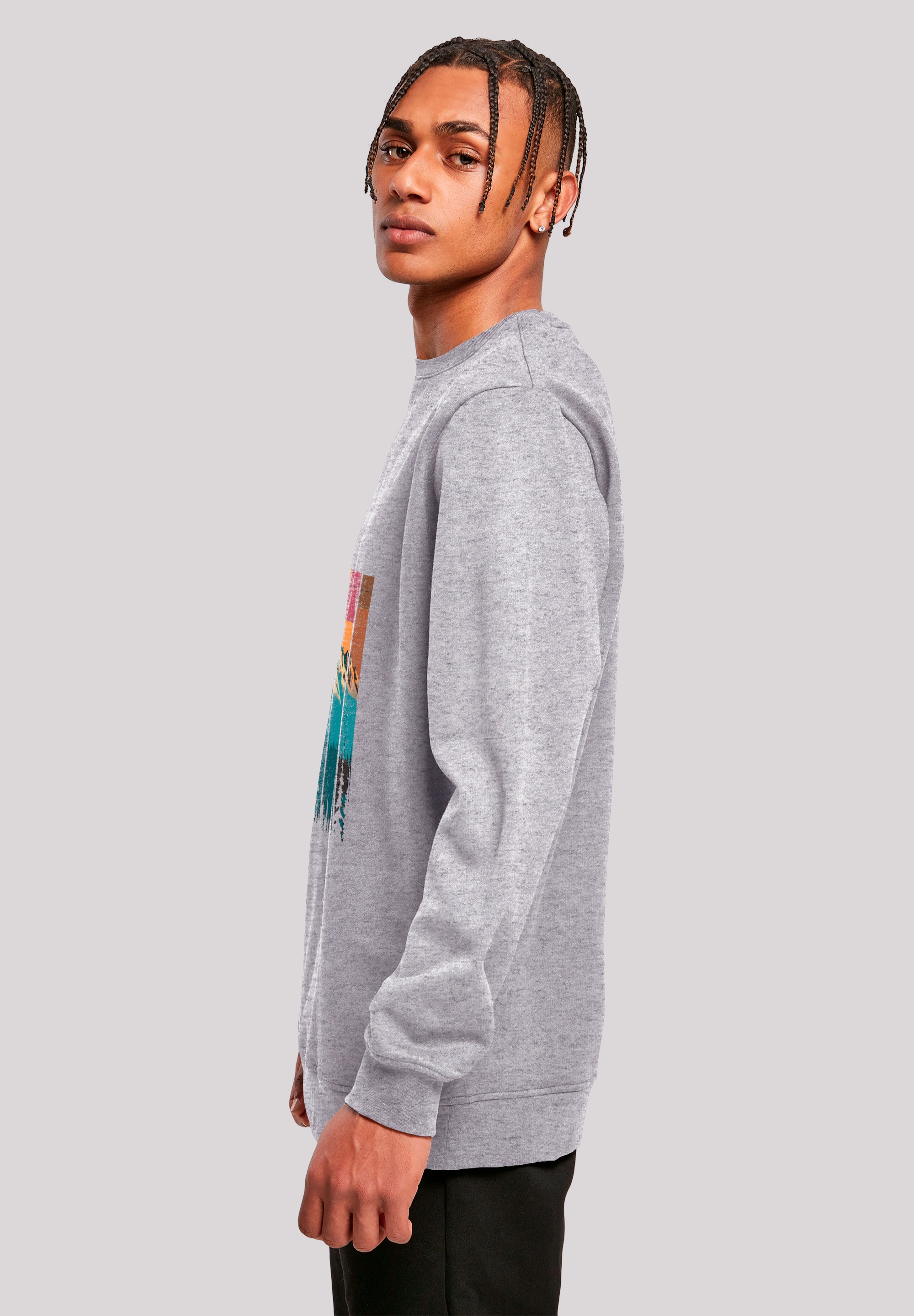 F4NT4STIC Sweatshirt »Berg Sonnenuntergang Retro«, Premium Qualität